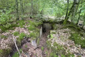 Ligne Maginot - DACHSECK 2 - (Cuve pour arme d'infanterie) - 