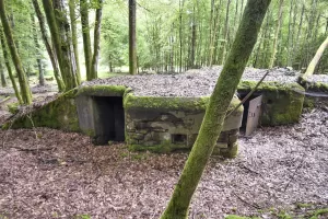 Ligne Maginot - DACHSECK 1 - (Blockhaus pour canon) - Les deux entrées et la caponnière  