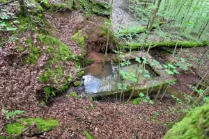 Ligne Maginot - FREUDENBERG (QUARTIER SCHIESSECK - I/37° RIF) - (Abri) - 