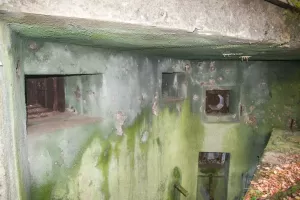 Ligne Maginot - BASSE PARTHE EST - C46 - (Casemate d'infanterie - Simple) - Créneau JM / AC37 et créneaux FM de défense rapprochée