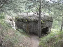 Ligne Maginot - COL DES TROIS CROIX SUPéRIEUR - (Blockhaus pour arme infanterie) - 