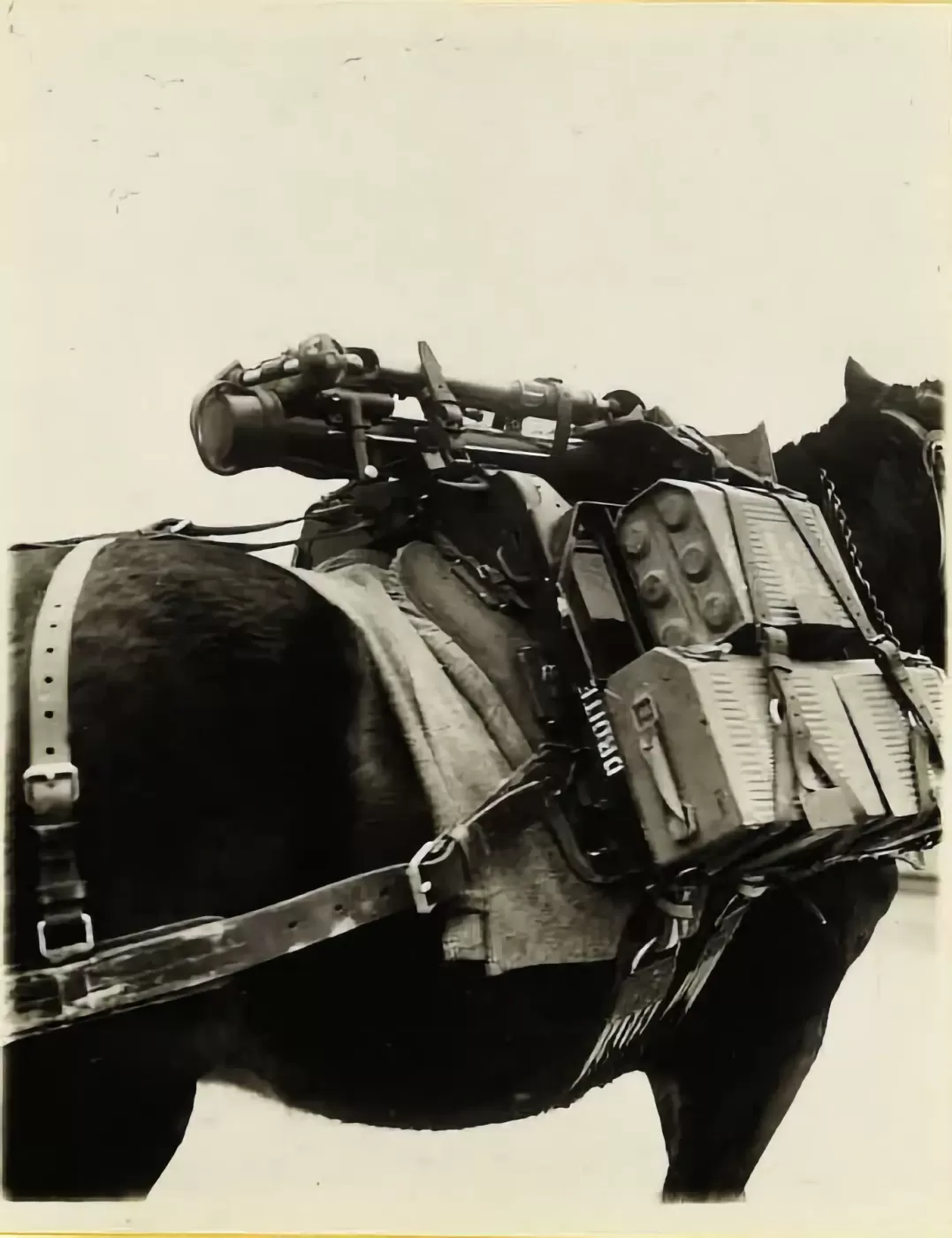 Mortier de 60 mm Brandt modèle 1935 (60 mle 1935) 
