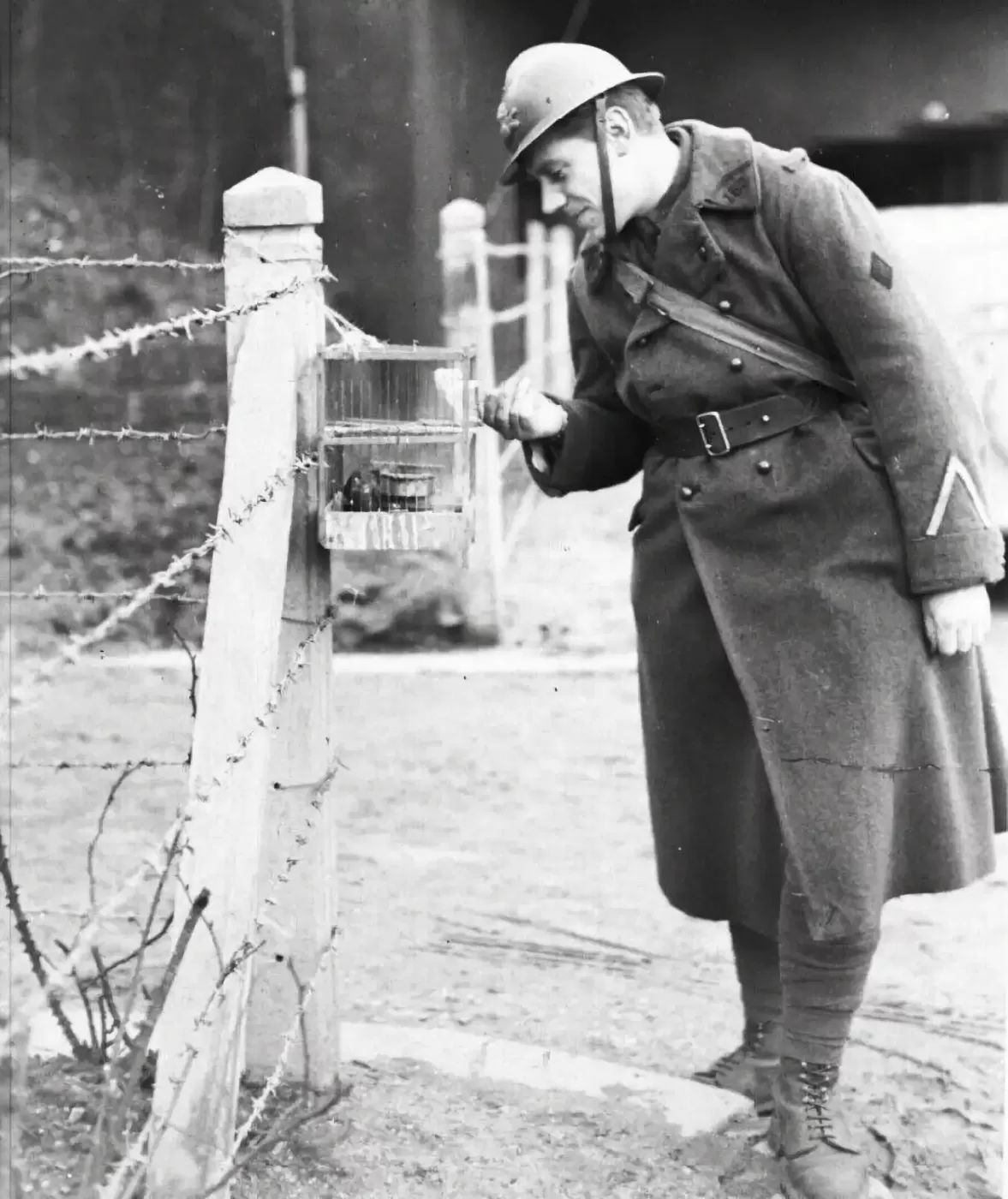Ligne Maginot - MONT DES WELCHES - A21 - (Ouvrage d'artillerie) - Une cage à oiseaux devant l'entrée des munitions. Ceux-ci étaient utilisés pour la détection des gaz de combat. - Inconnu