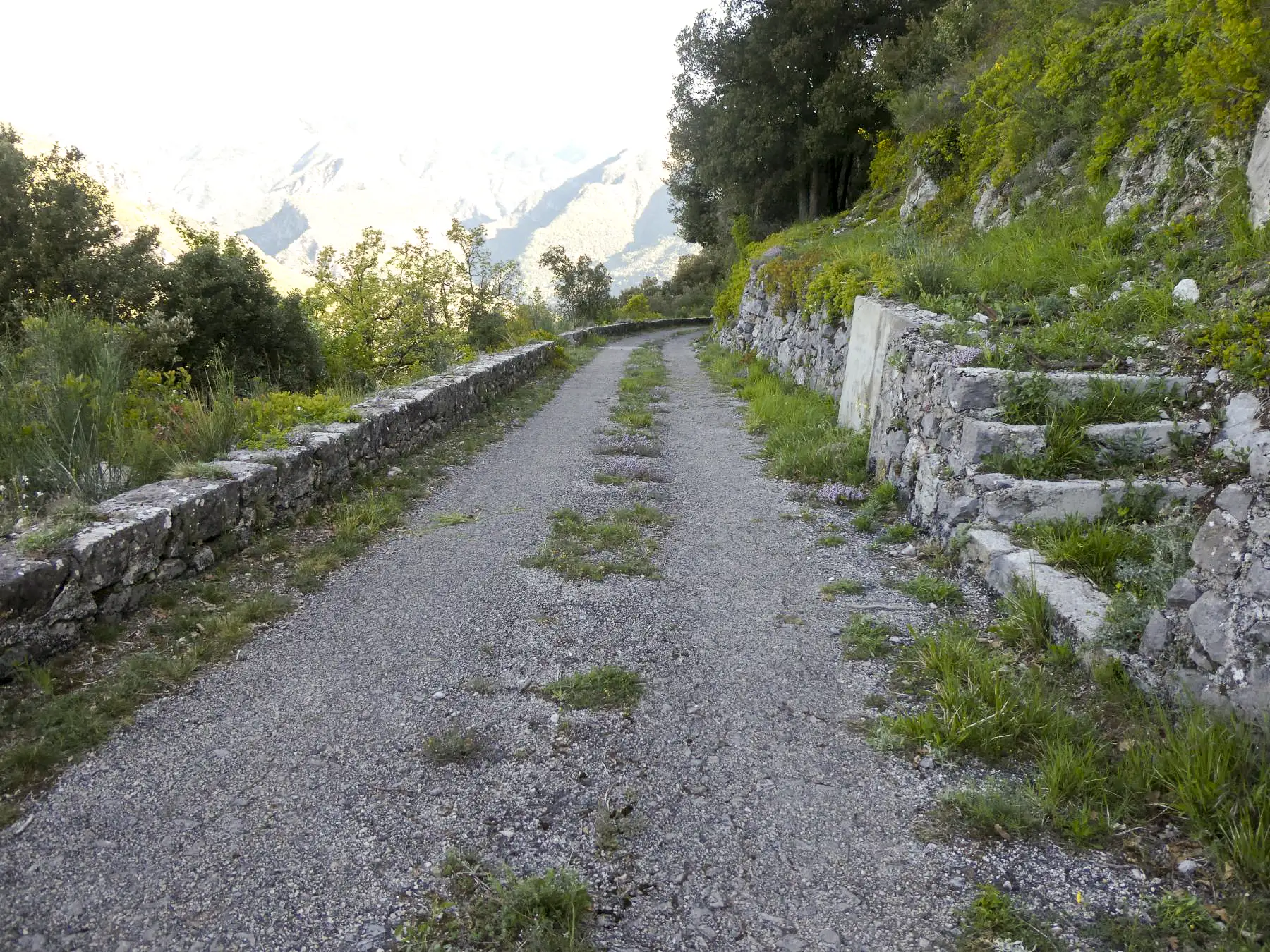 Ligne Maginot - BARBONNET - (Barrage de Route) - Le barrage se situait au pieds de l'escalier. - ELLENA Daniel - CUNY Philippe