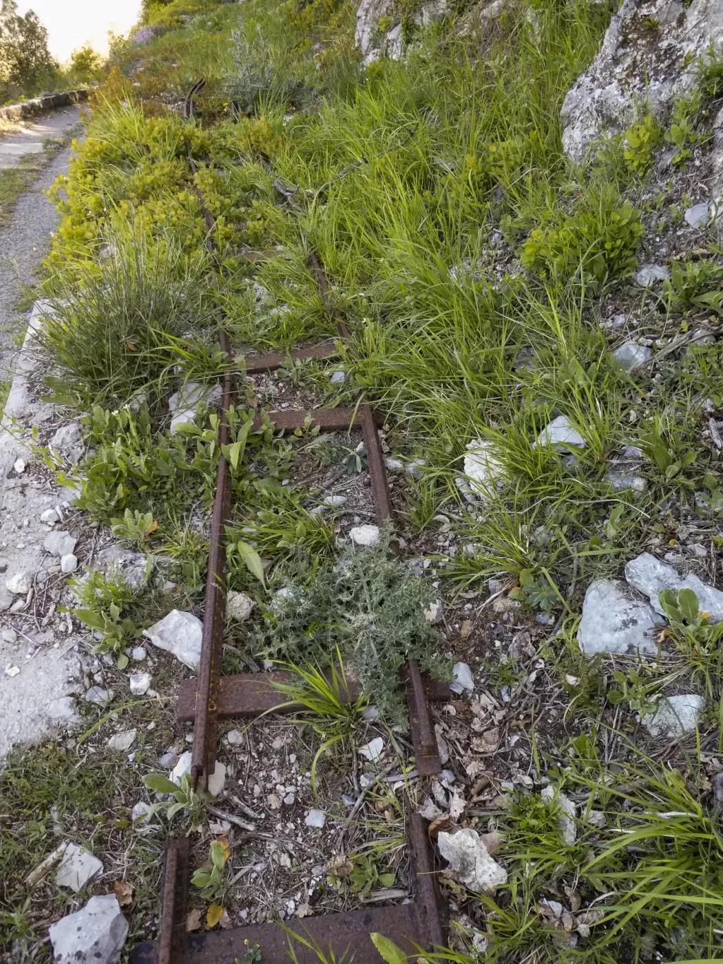 Ligne Maginot - BARBONNET - (Barrage de Route) - Environnement
Voie de 40, provenant du Barbonnet - Suchet. 

 - ELLENA Daniel - CUNY Philippe