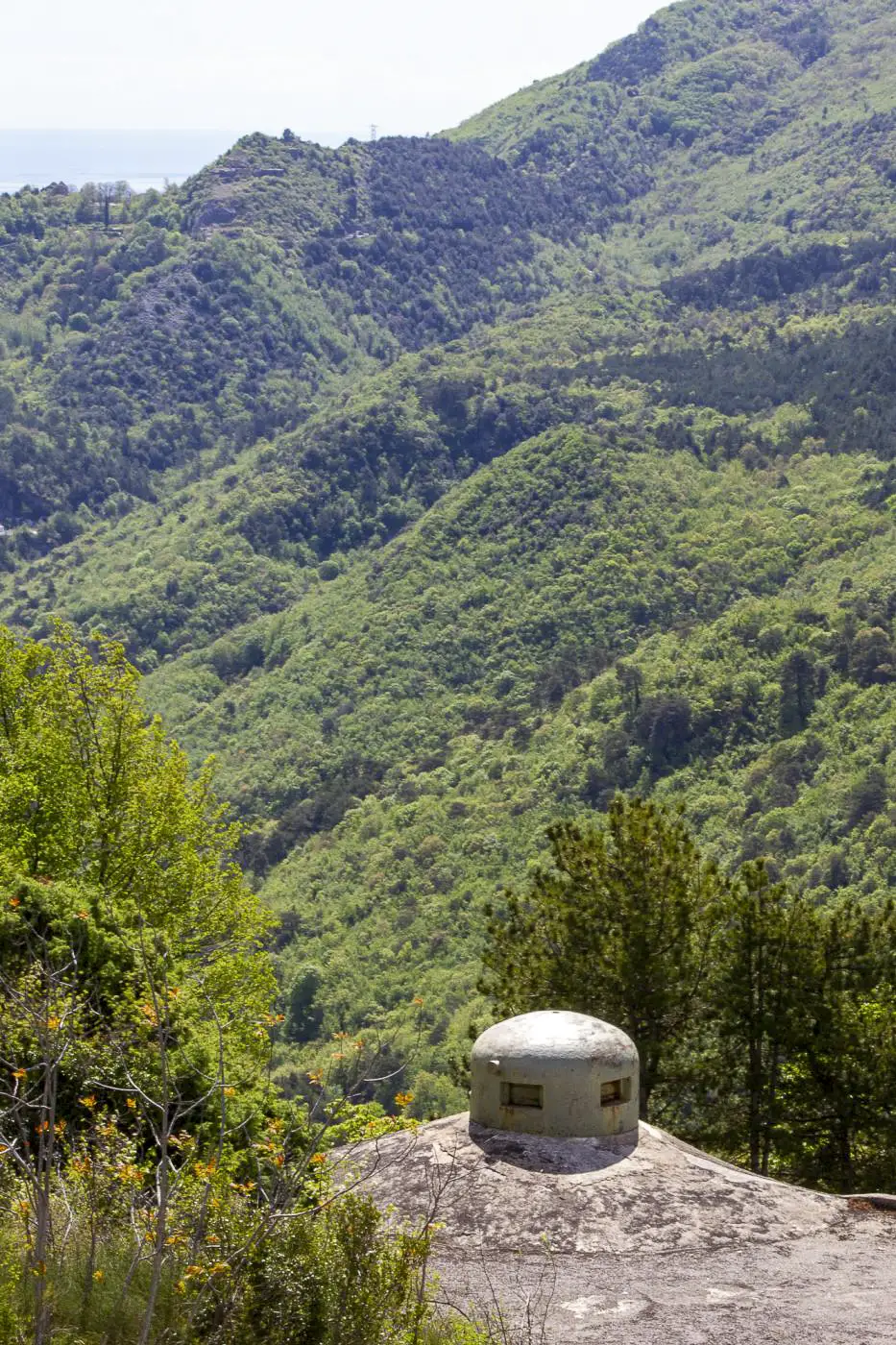 Ligne Maginot - BARBONNET (BT) - (Ouvrage d'artillerie) - Bloc 2
Cloche GFM. On aperçoit les blocs de l'ouvrage de Castillon sur la crête à l'horizon - Michel Teiten