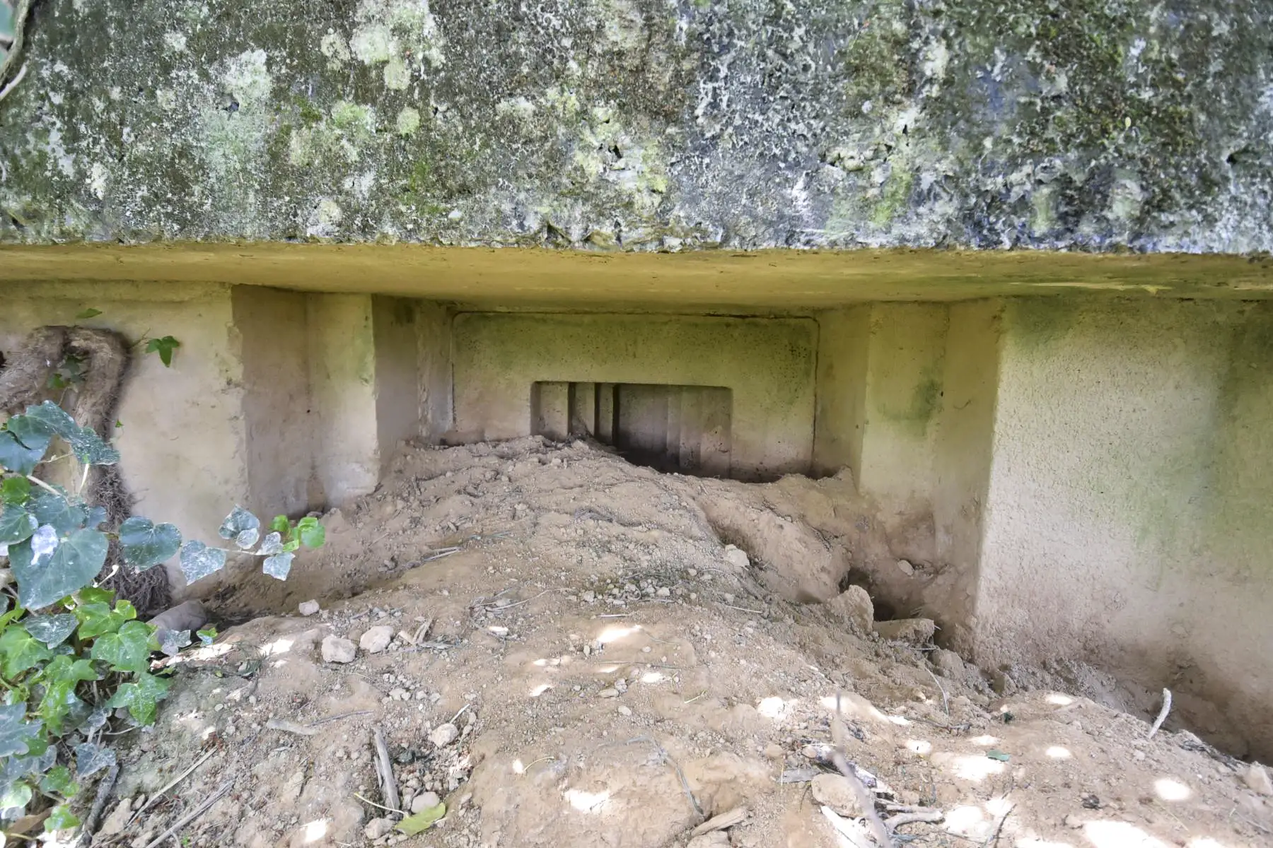 Ligne Maginot - ZWERCHACKER - (Blockhaus pour arme infanterie) -  - Ludovic KNAPP