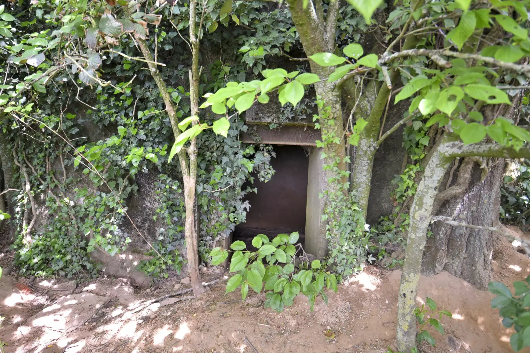 Ligne Maginot - ZWERCHACKER - (Blockhaus pour arme infanterie) - L'entrée - Ludovic KNAPP