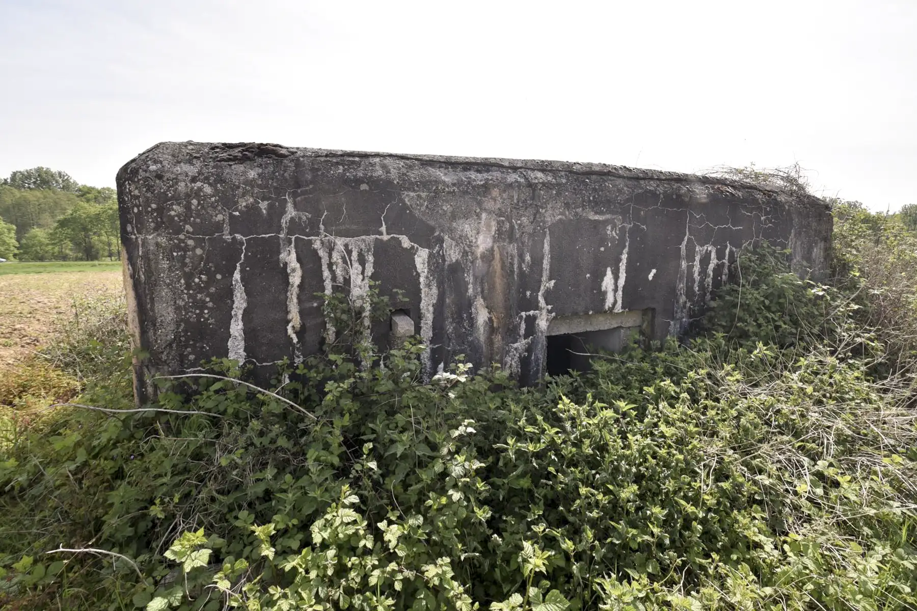 Ligne Maginot - BRETT SUD - (Blockhaus pour arme infanterie) -  - Ludovic KNAPP