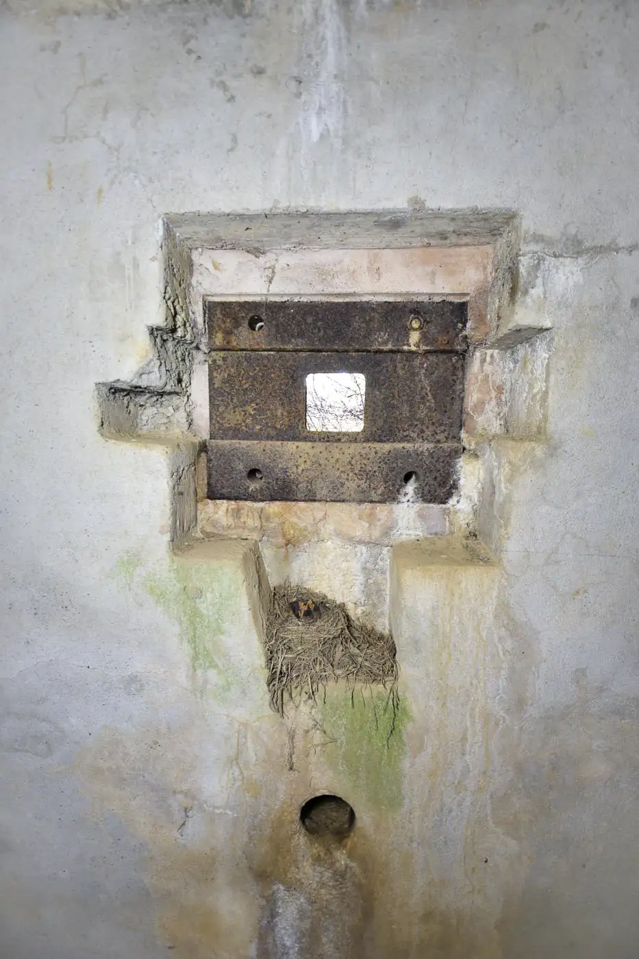 Ligne Maginot - BRETT SUD - (Blockhaus pour arme infanterie) -  - Ludovic KNAPP