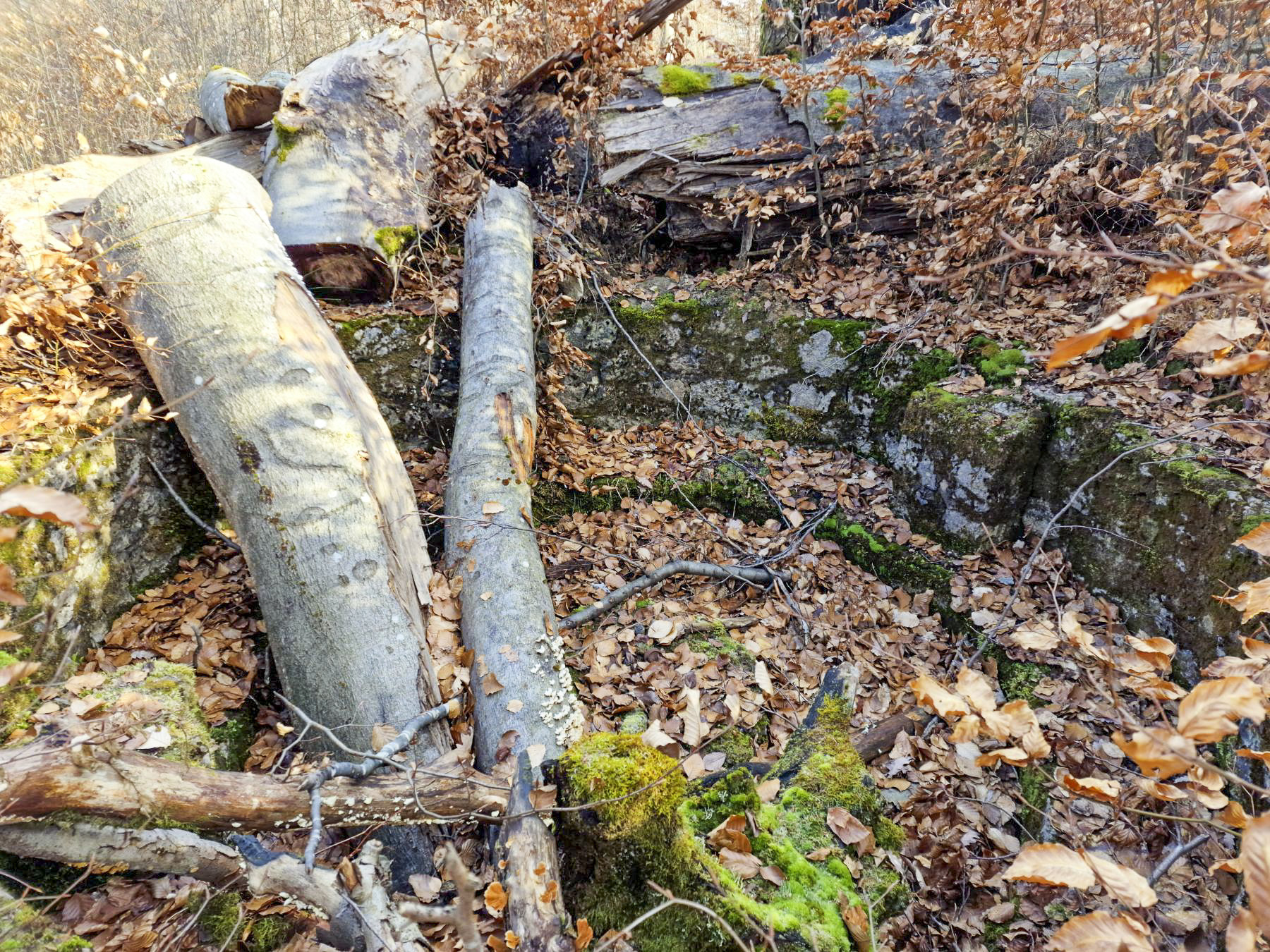 Ligne Maginot - LORENTZERWALD 3 - (Cuve pour arme d'infanterie) - Cuve pour arme d'infanterie - Franck Niederlender