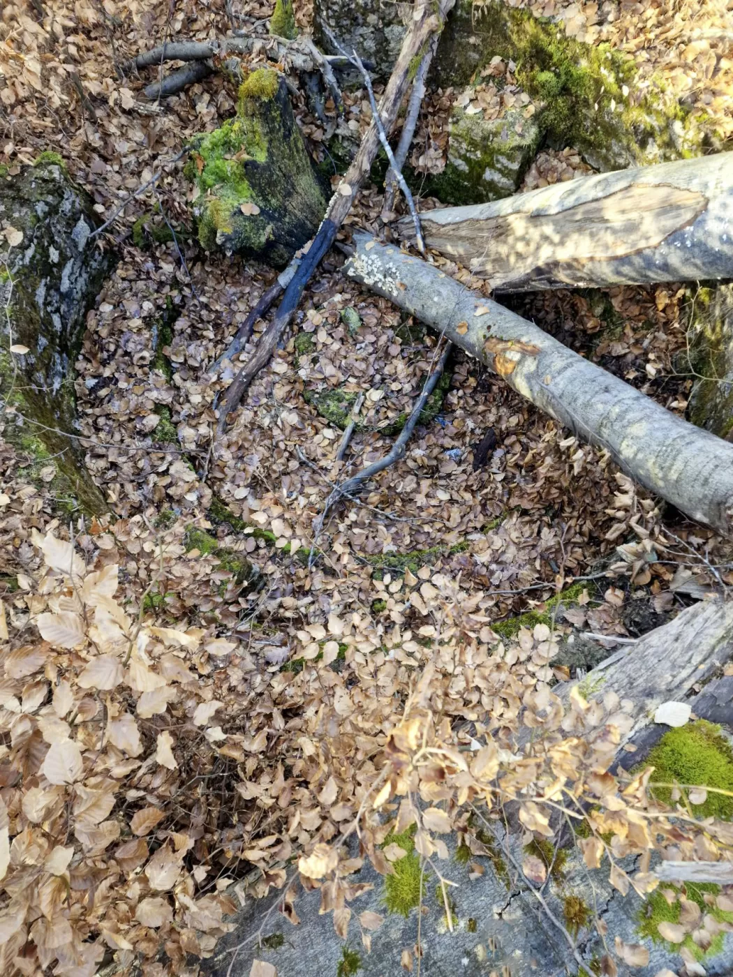 Ligne Maginot - LORENTZERWALD 3 - (Cuve pour arme d'infanterie) - Cuve pour arme d'infanterie - Franck Niederlender