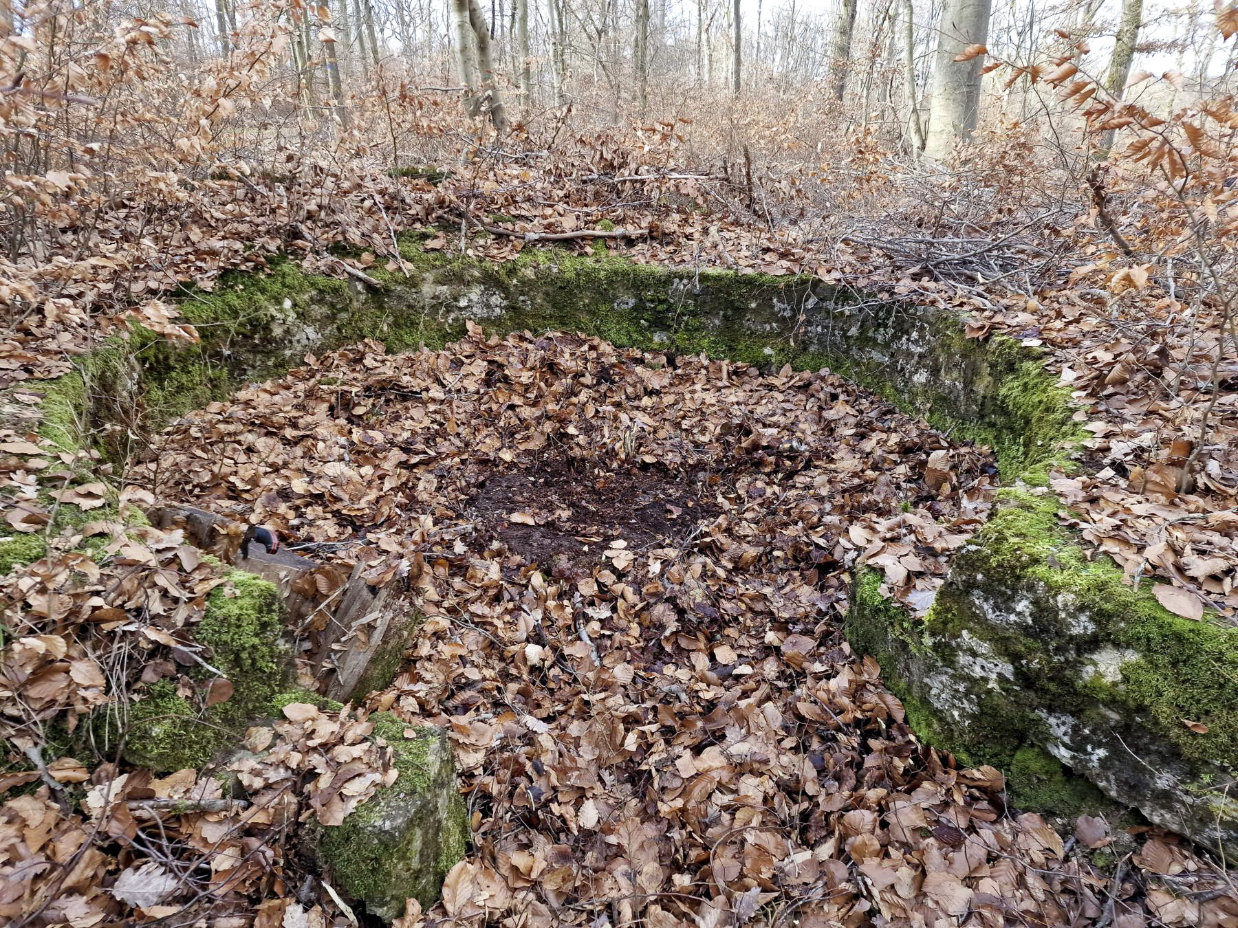 Ligne Maginot - LORENTZERWALD 2 - (Cuve pour arme d'infanterie) - Cuve pour arme d'infanterie - Franck Niederlender