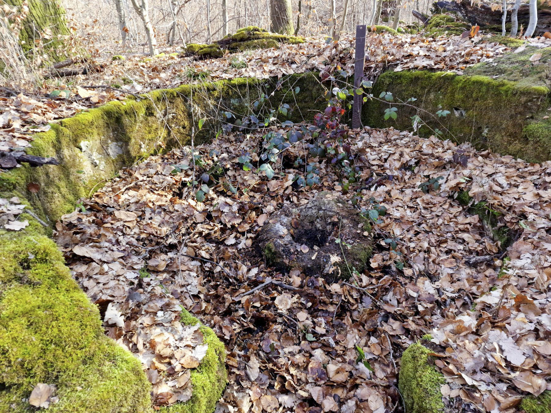 Ligne Maginot - LORENTZERWALD 4 - (Cuve pour arme d'infanterie) - Cuve pour arme d'infanterie - Franck Niederlender