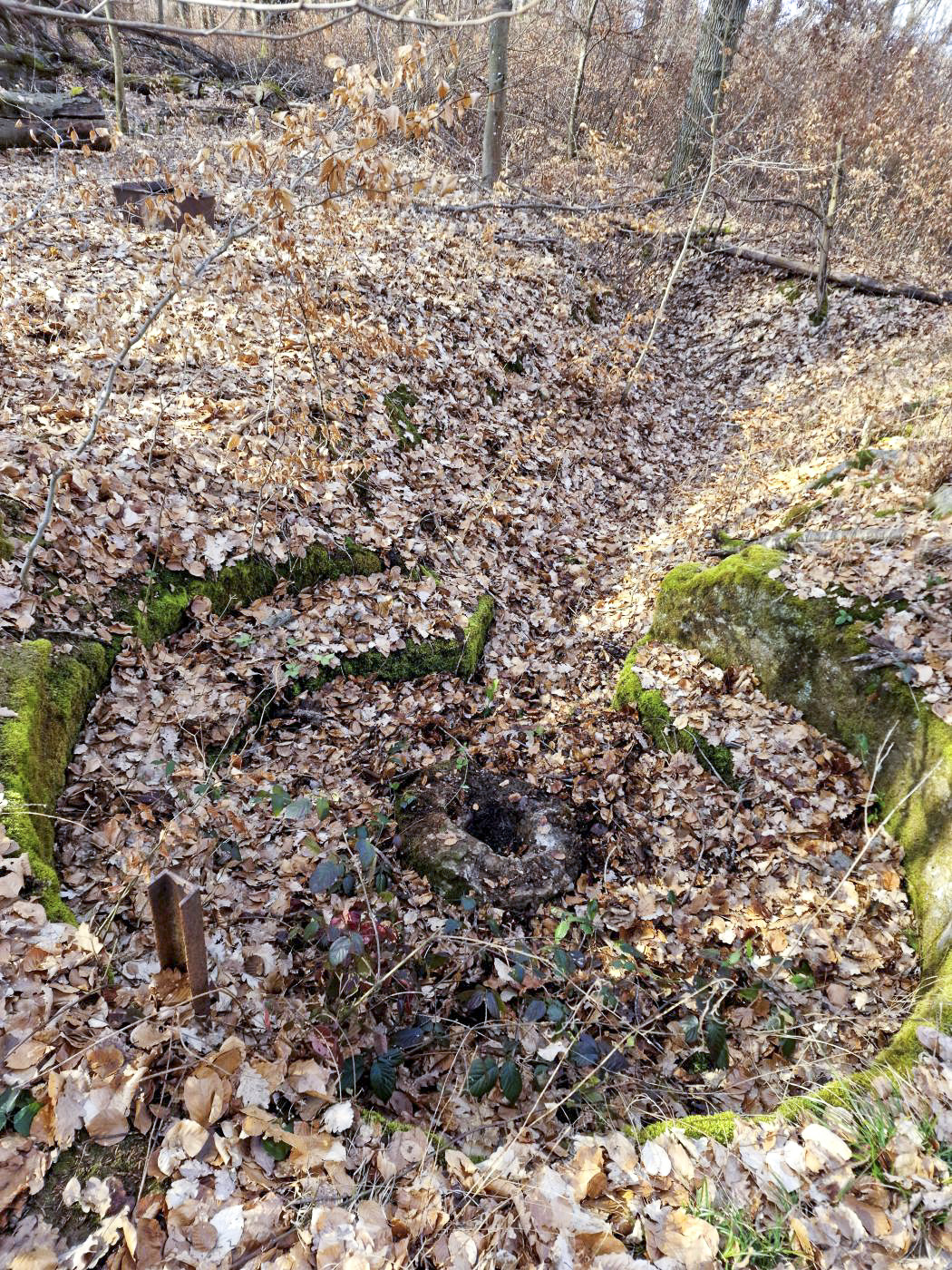 Ligne Maginot - LORENTZERWALD 4 - (Cuve pour arme d'infanterie) - Cuve pour arme d'infanterie - Franck Niederlender