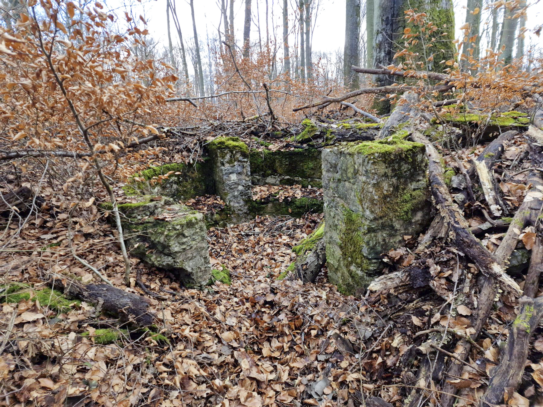 Ligne Maginot - LORENTZERWALD 5 - (Cuve pour arme d'infanterie) - Cuve pour arme d'infanterie - Franck Niederlender