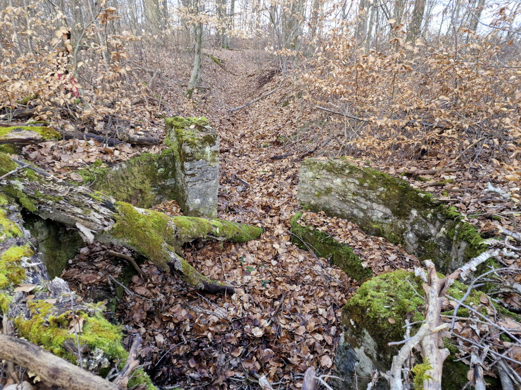 Ligne Maginot - LORENTZERWALD 5 - (Cuve pour arme d'infanterie) - Cuve pour arme d'infanterie - Franck Niederlender