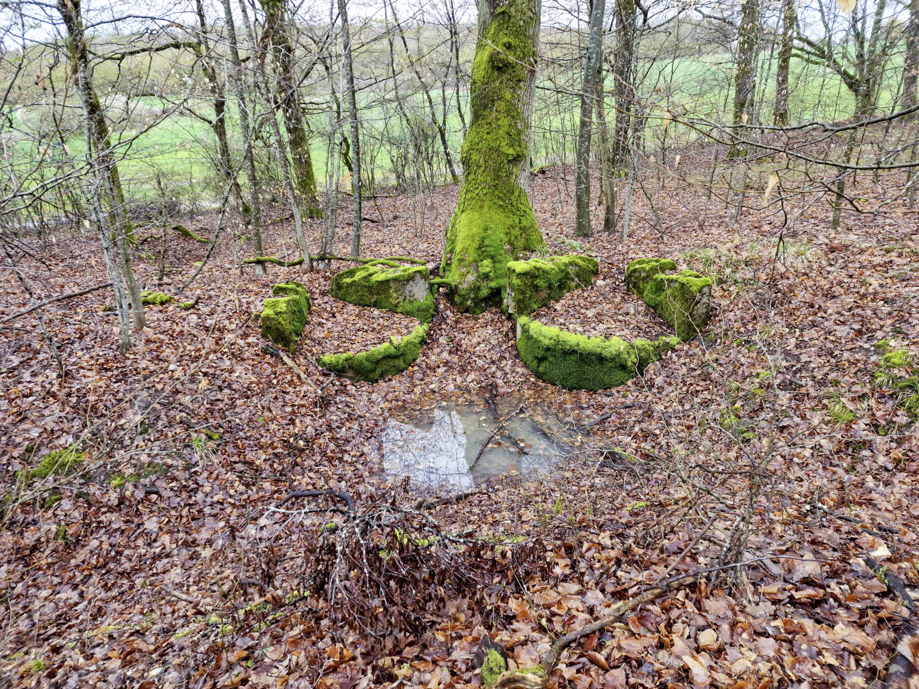 Ligne Maginot - LORENTZERWALD 1 - (Cuve pour arme d'infanterie) - Double poste de tir ou d'observation - Franck Niederlender