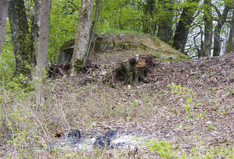 Ligne Maginot - C4 - EICHHOLTZ 2 - (Blockhaus pour canon) - 