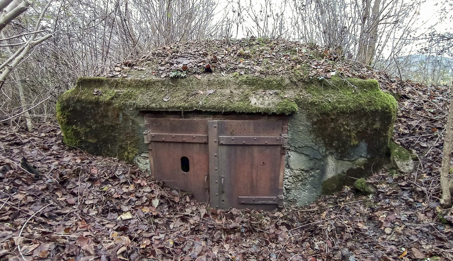 Ligne Maginot - C4 - EICHHOLTZ 2 - (Blockhaus pour canon) - L'entrée.
Le blockhaus est assailli par la végétation