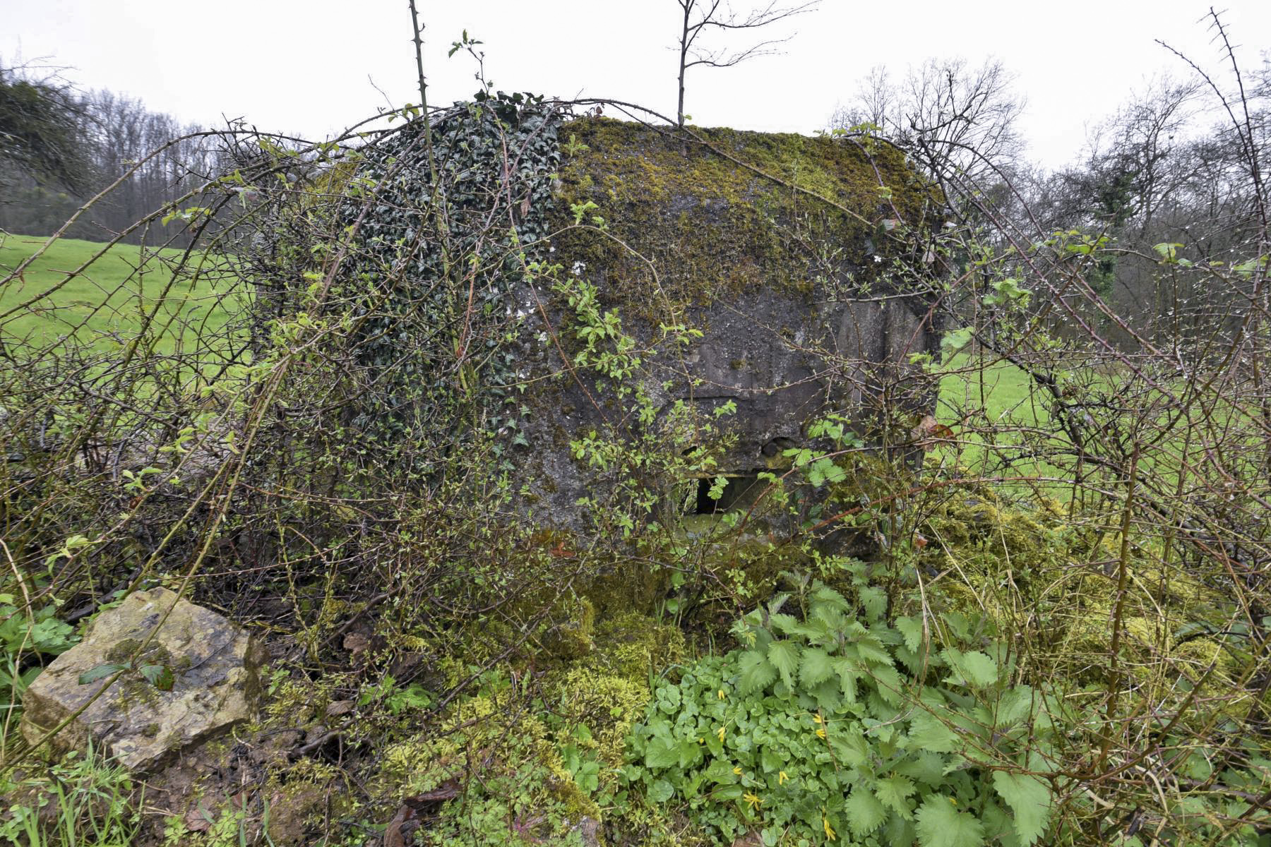Ligne Maginot - FM11 - HELIENBRUCK 2 - (Blockhaus pour arme infanterie) -  - Ludovic KNAPP