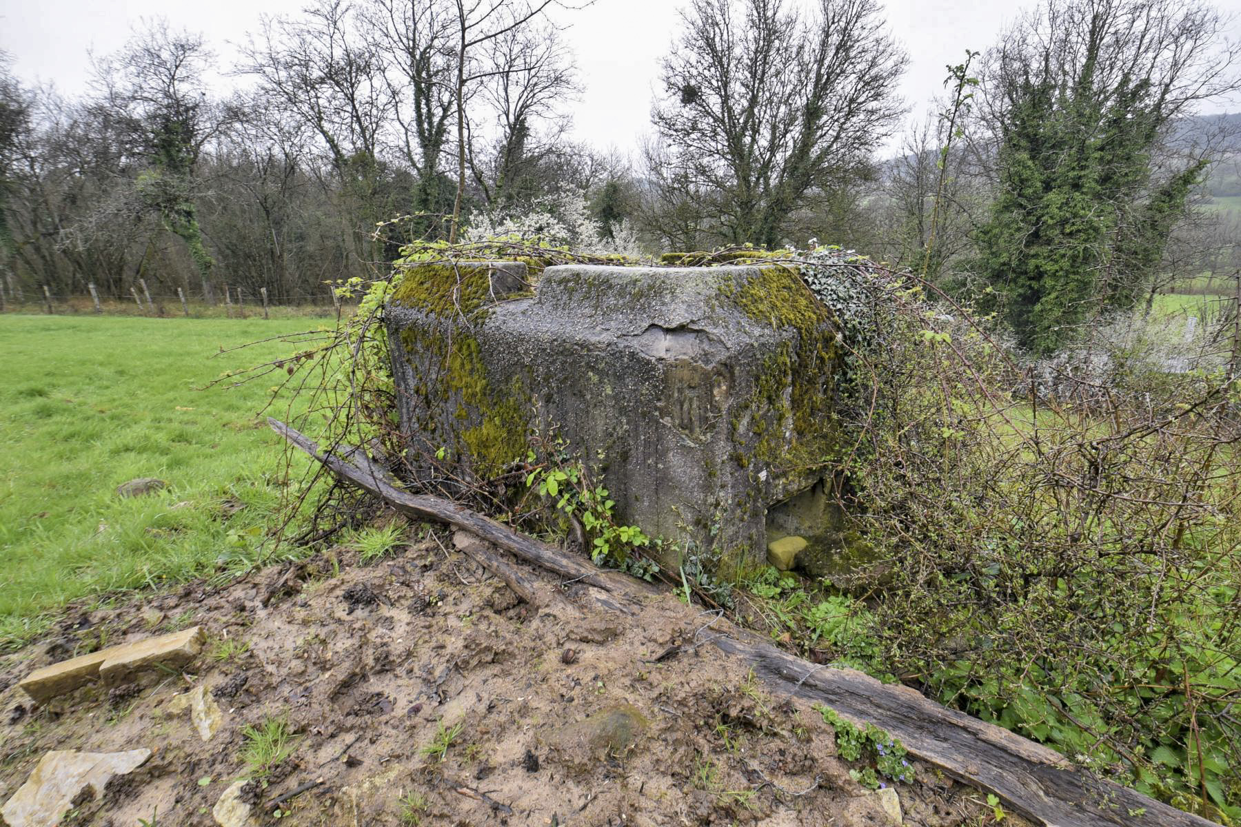 Ligne Maginot - FM11 - HELIENBRUCK 2 - (Blockhaus pour arme infanterie) -  - Ludovic KNAPP