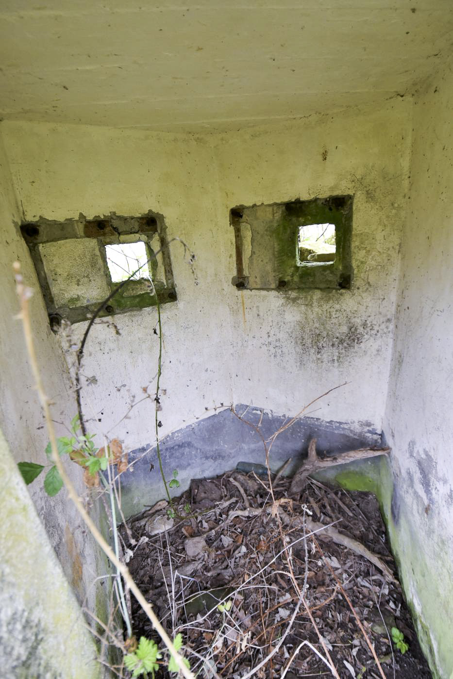 Ligne Maginot - FM11 - HELIENBRUCK 2 - (Blockhaus pour arme infanterie) -  - Ludovic KNAPP