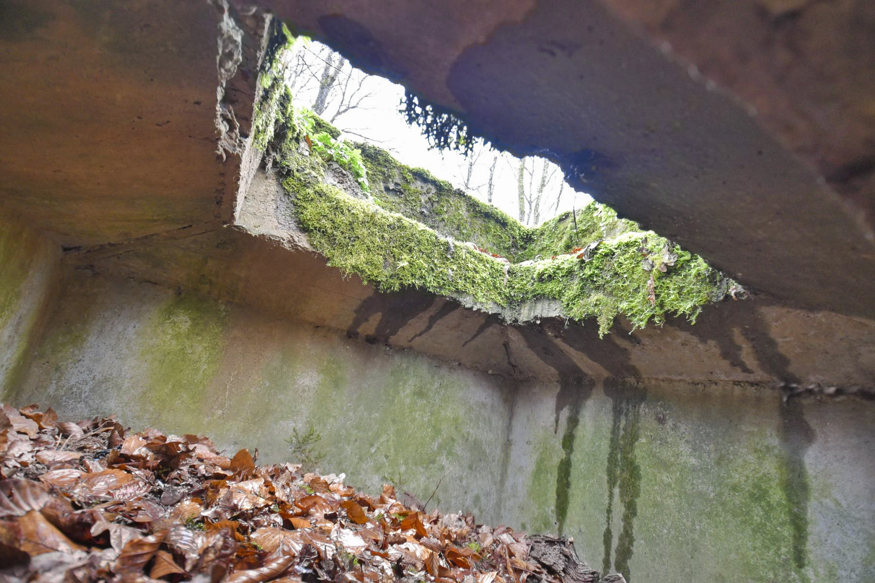 Ligne Maginot - LEMBACH (OBSERVATOIRE FT RADIO DE) - (Observatoire d'infanterie) -  - Ludovic KNAPP