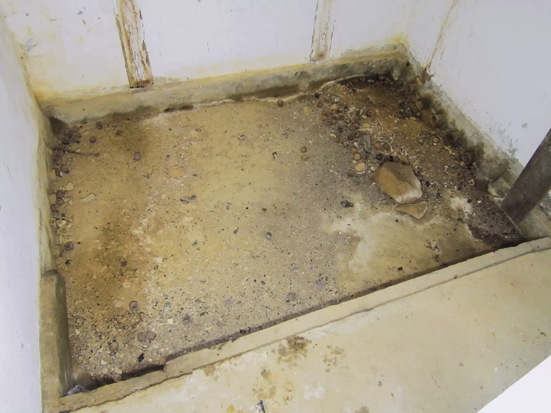 Ligne Maginot - I4 - (Chambre de coupure) -  - Gregory Fuchs