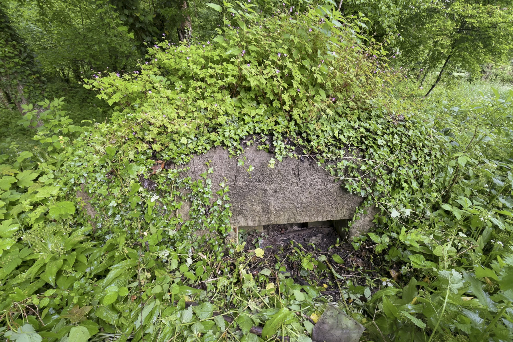 Ligne Maginot - FELDELE SUD - (Blockhaus pour arme infanterie) -  - Ludovic KNAPP