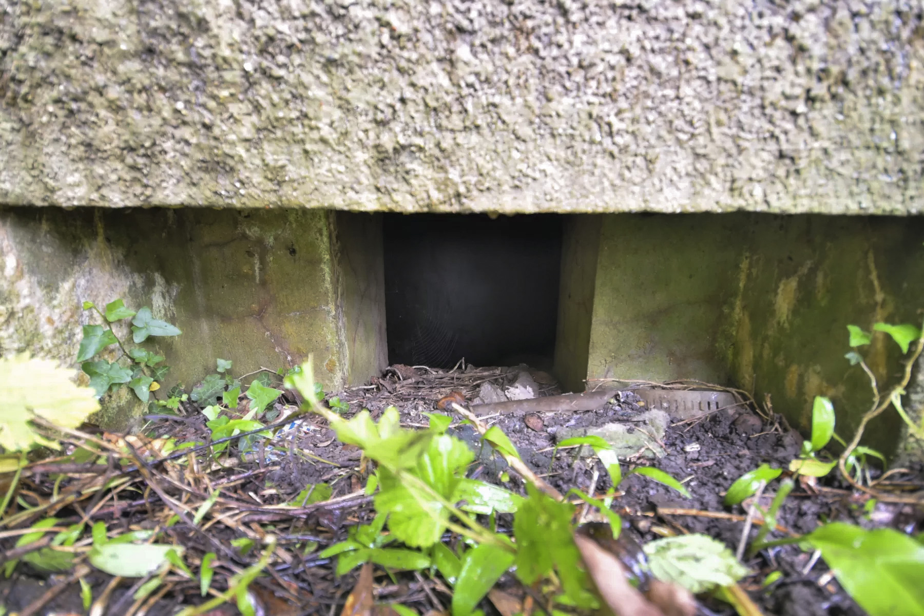 Ligne Maginot - FELDELE SUD - (Blockhaus pour arme infanterie) -  - Ludovic KNAPP