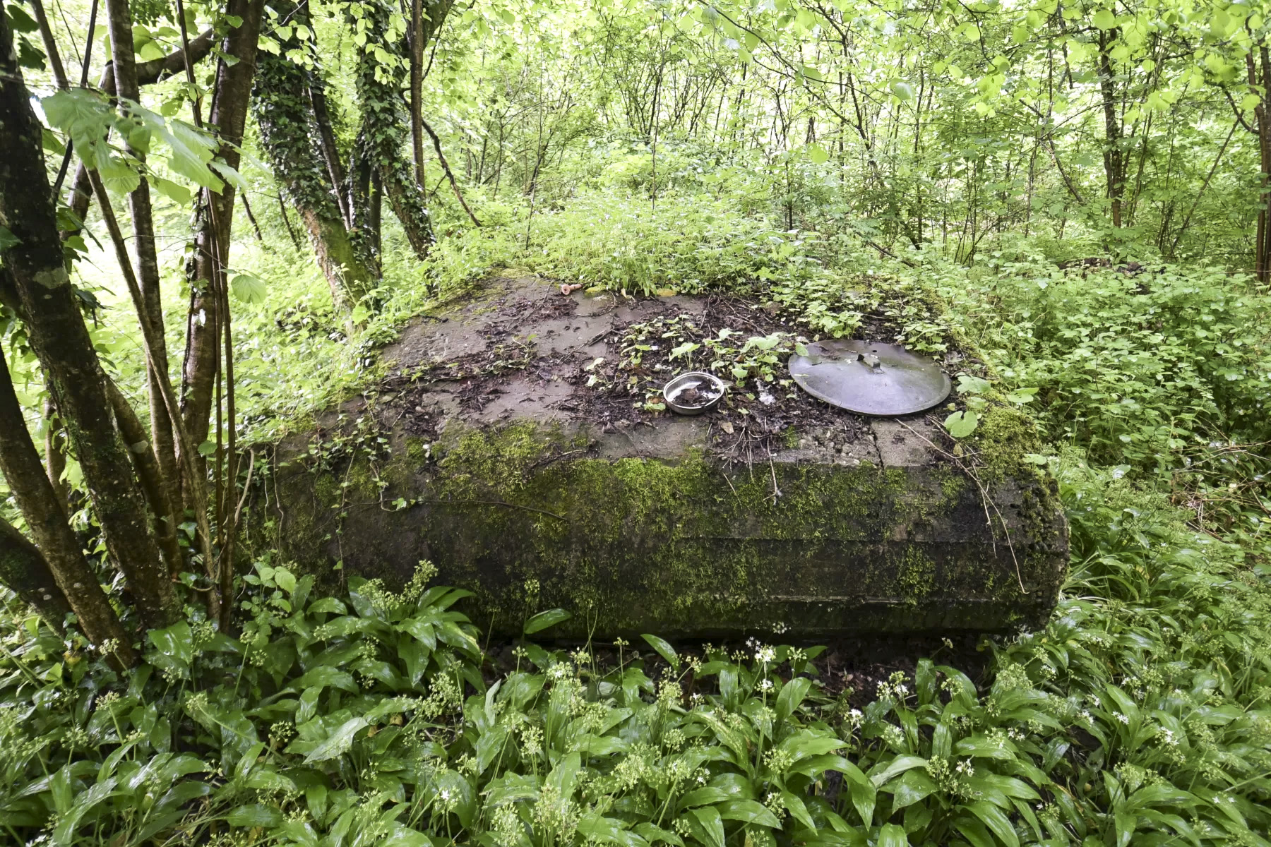 Ligne Maginot - FELDELE CENTRE - (Blockhaus pour arme infanterie) -  - Ludovic KNAPP