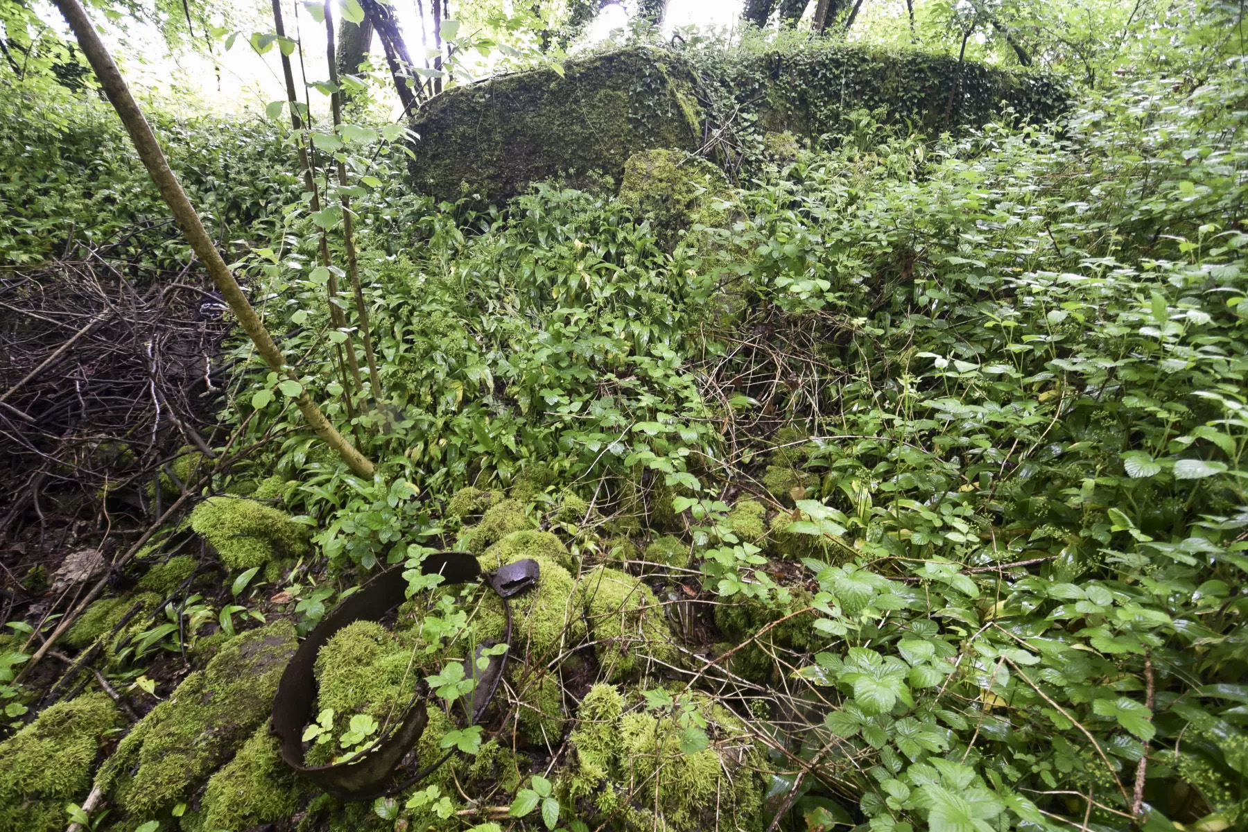Ligne Maginot - FELDELE CENTRE - (Blockhaus pour arme infanterie) -  - Ludovic KNAPP