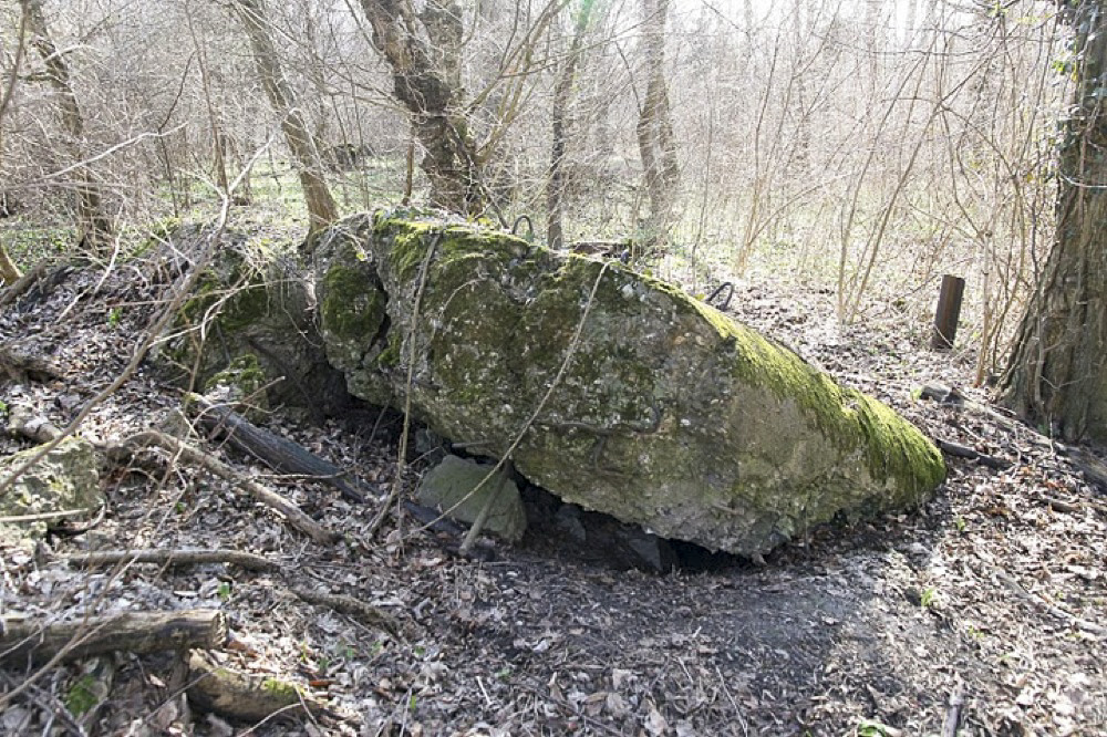 Ligne Maginot - FELDELE Nord - (Blockhaus pour arme infanterie) - 