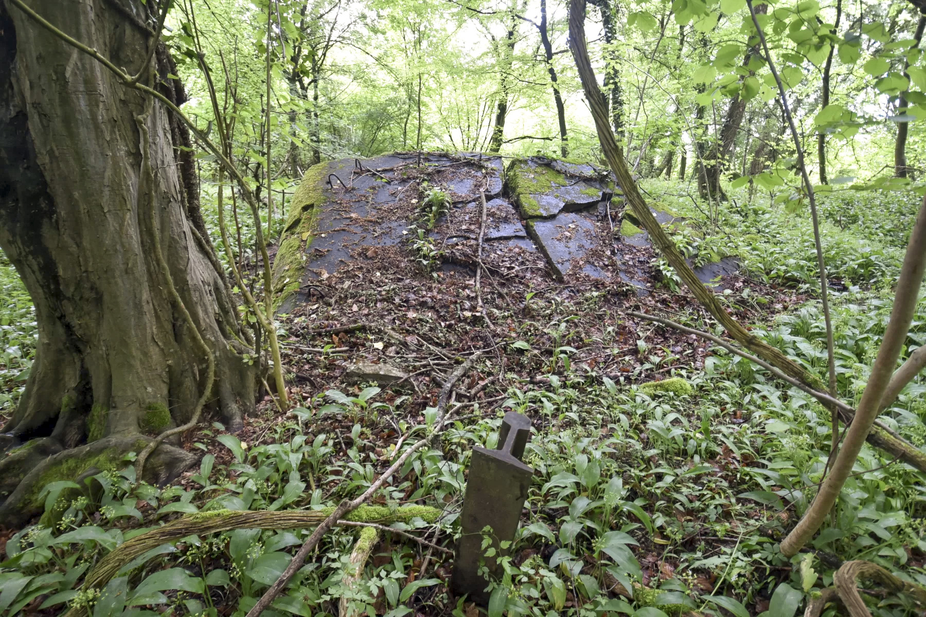 Ligne Maginot - FELDELE NORD - (Blockhaus pour arme infanterie) -  - Ludovic KNAPP