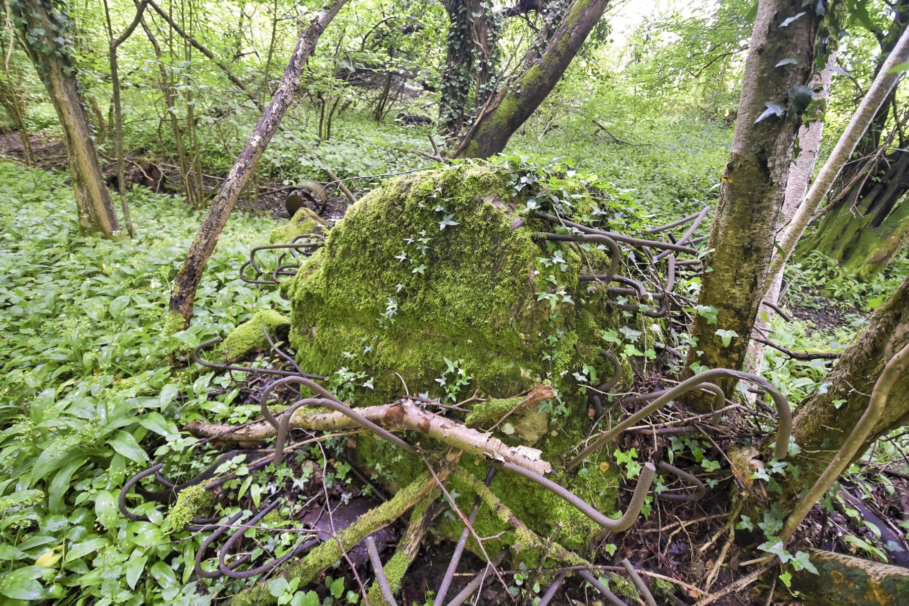 Ligne Maginot - FELDELE NORD - (Blockhaus pour arme infanterie) -  - Ludovic KNAPP