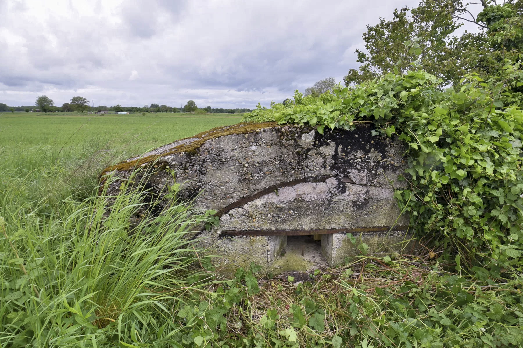 Ligne Maginot - GIFITZ - (Abri) -  - Ludovic KNAPP