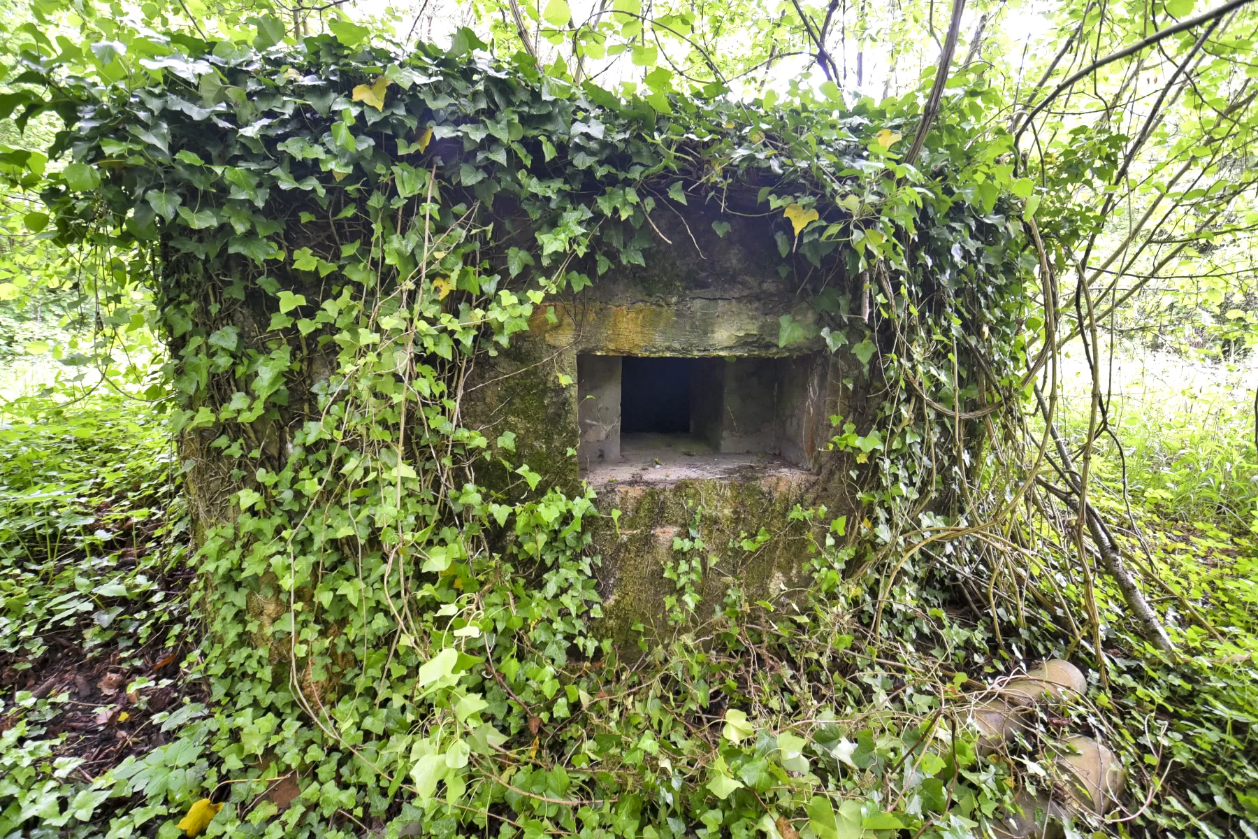Ligne Maginot - BARRWALD OUEST - (Blockhaus pour arme infanterie) -  - Ludovic KNAPP