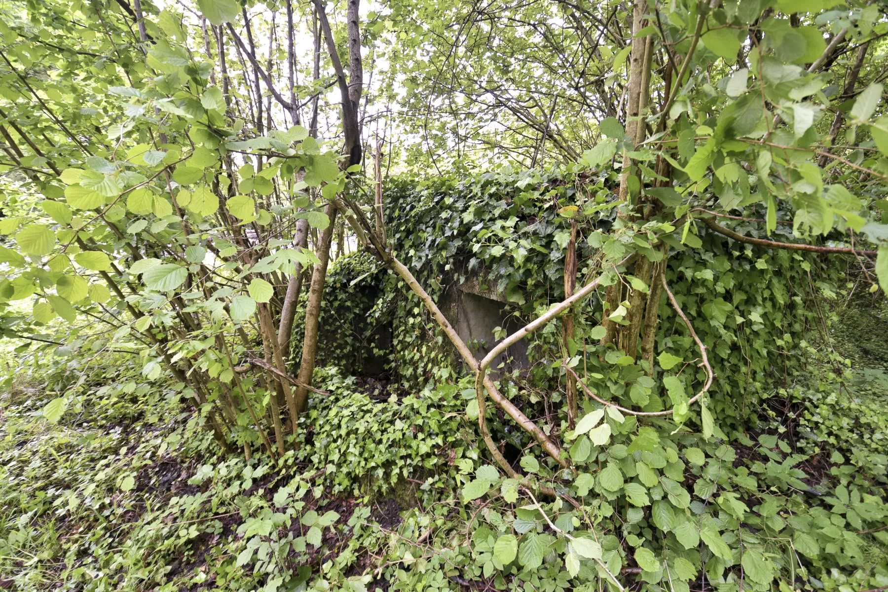 Ligne Maginot - BARRWALD OUEST - (Blockhaus pour arme infanterie) -  - Ludovic KNAPP