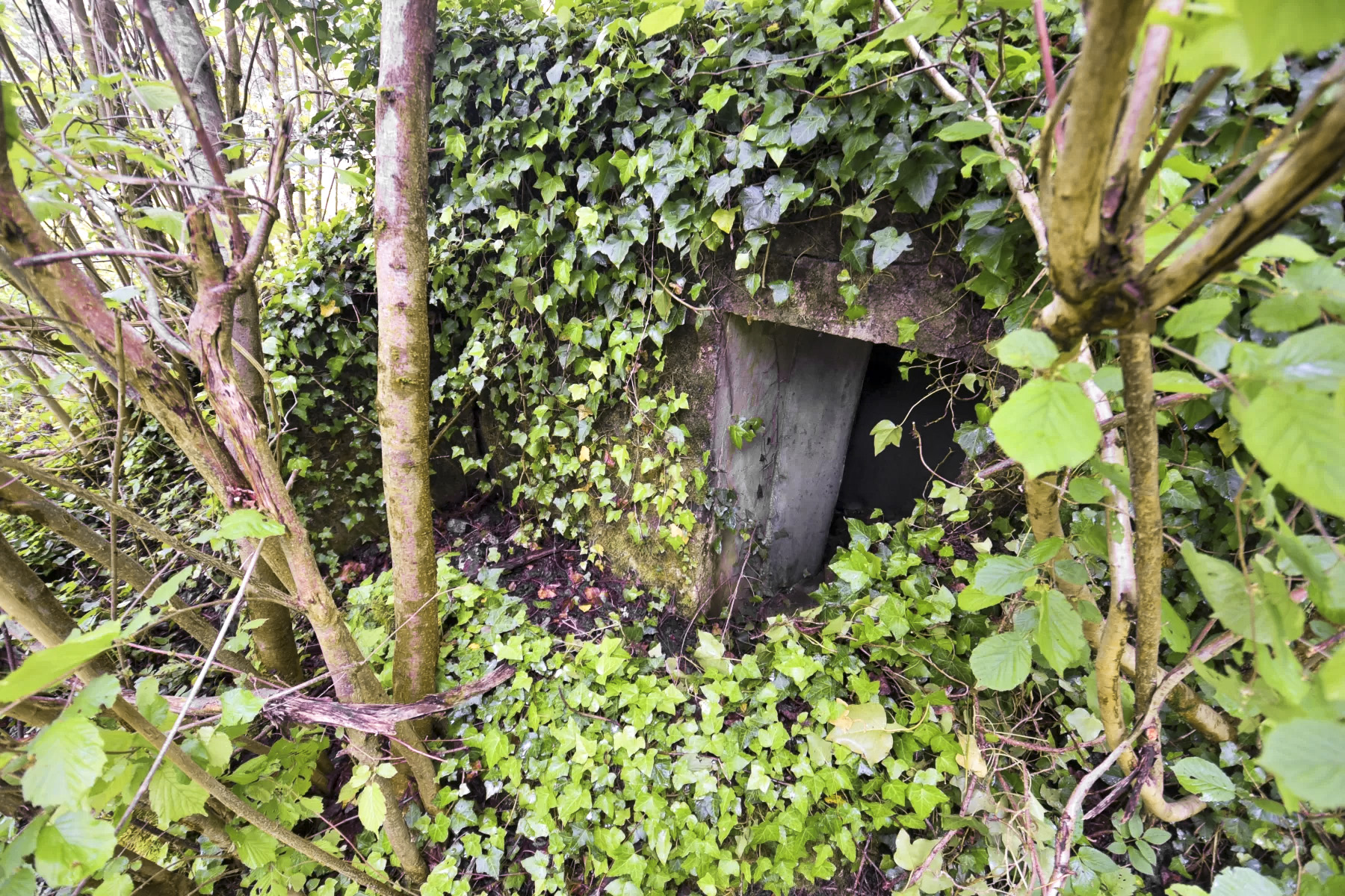 Ligne Maginot - BARRWALD OUEST - (Blockhaus pour arme infanterie) -  - Ludovic KNAPP