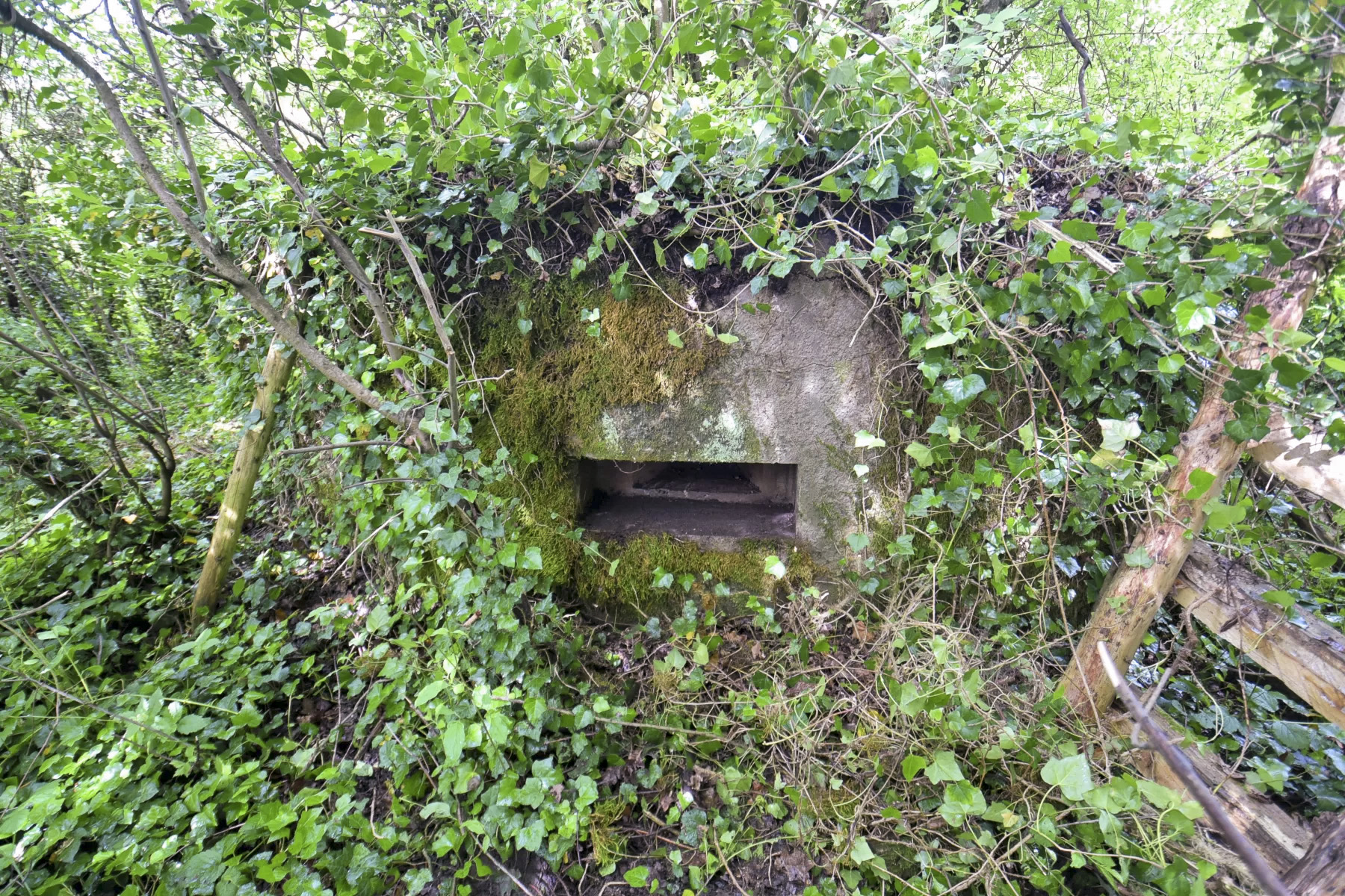 Ligne Maginot - BARRWALD CENTRE - (Blockhaus pour arme infanterie) -  - Ludovic KNAPP