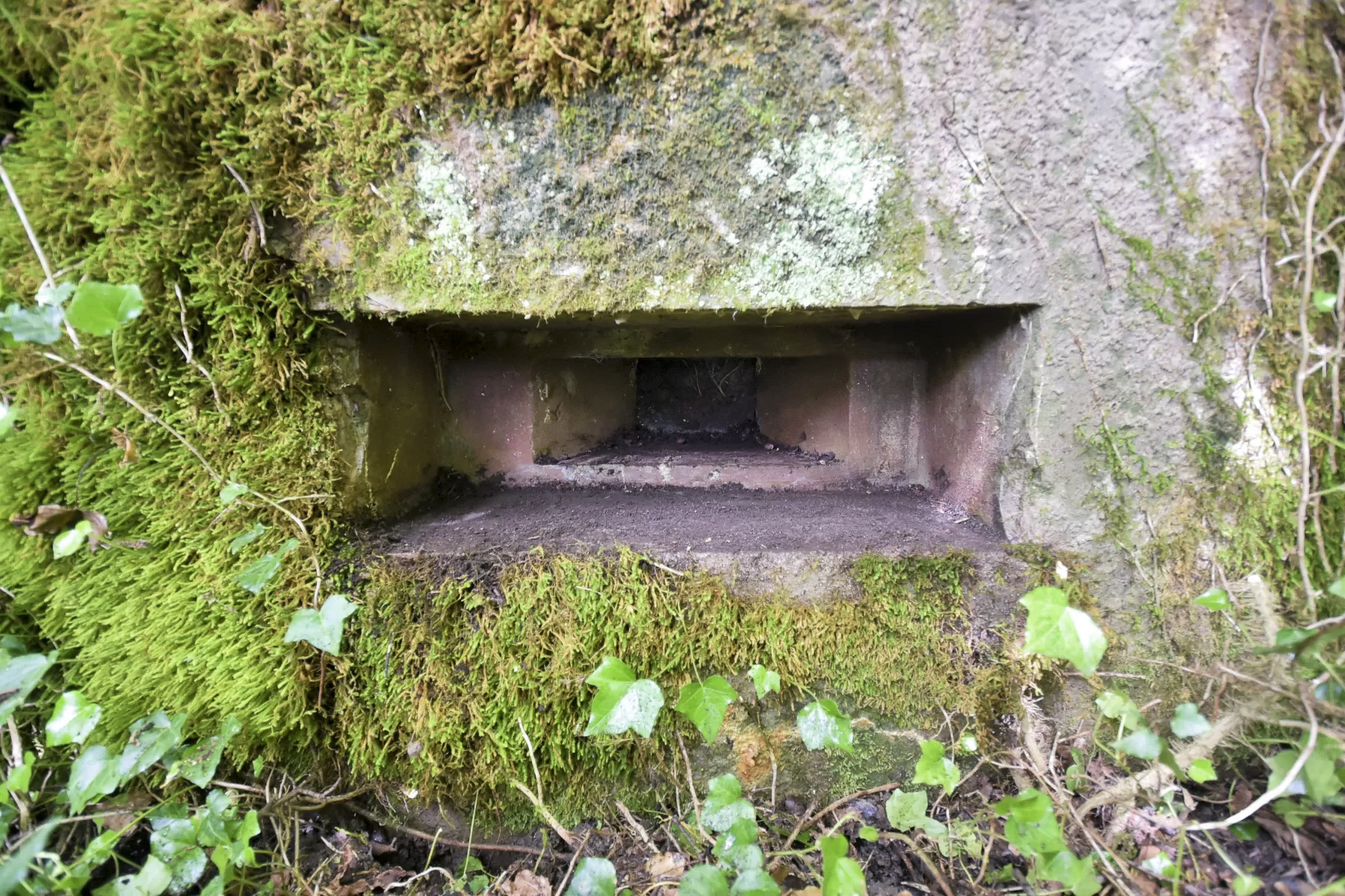 Ligne Maginot - BARRWALD CENTRE - (Blockhaus pour arme infanterie) -  - Ludovic KNAPP