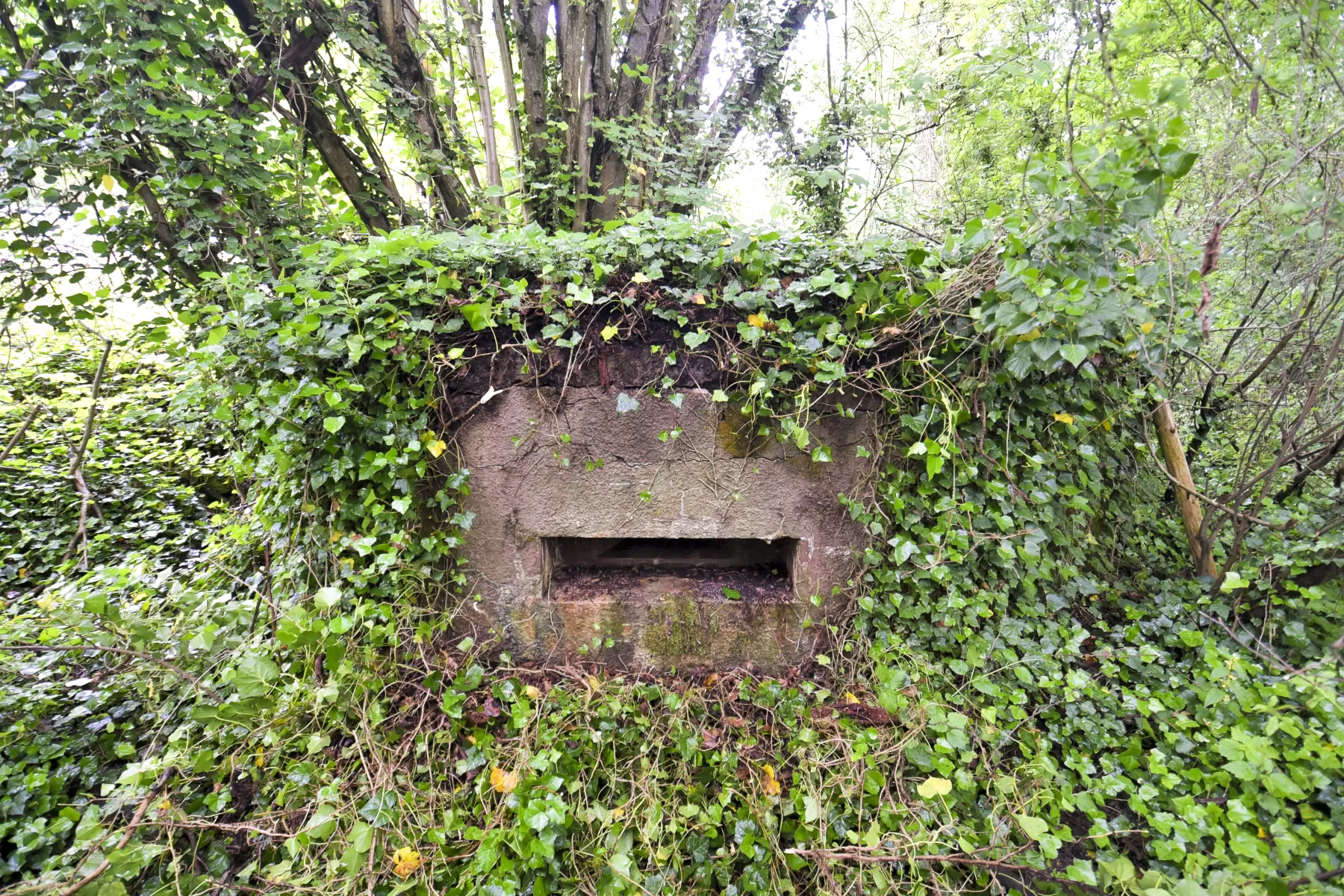 Ligne Maginot - BARRWALD CENTRE - (Blockhaus pour arme infanterie) -  - Ludovic KNAPP