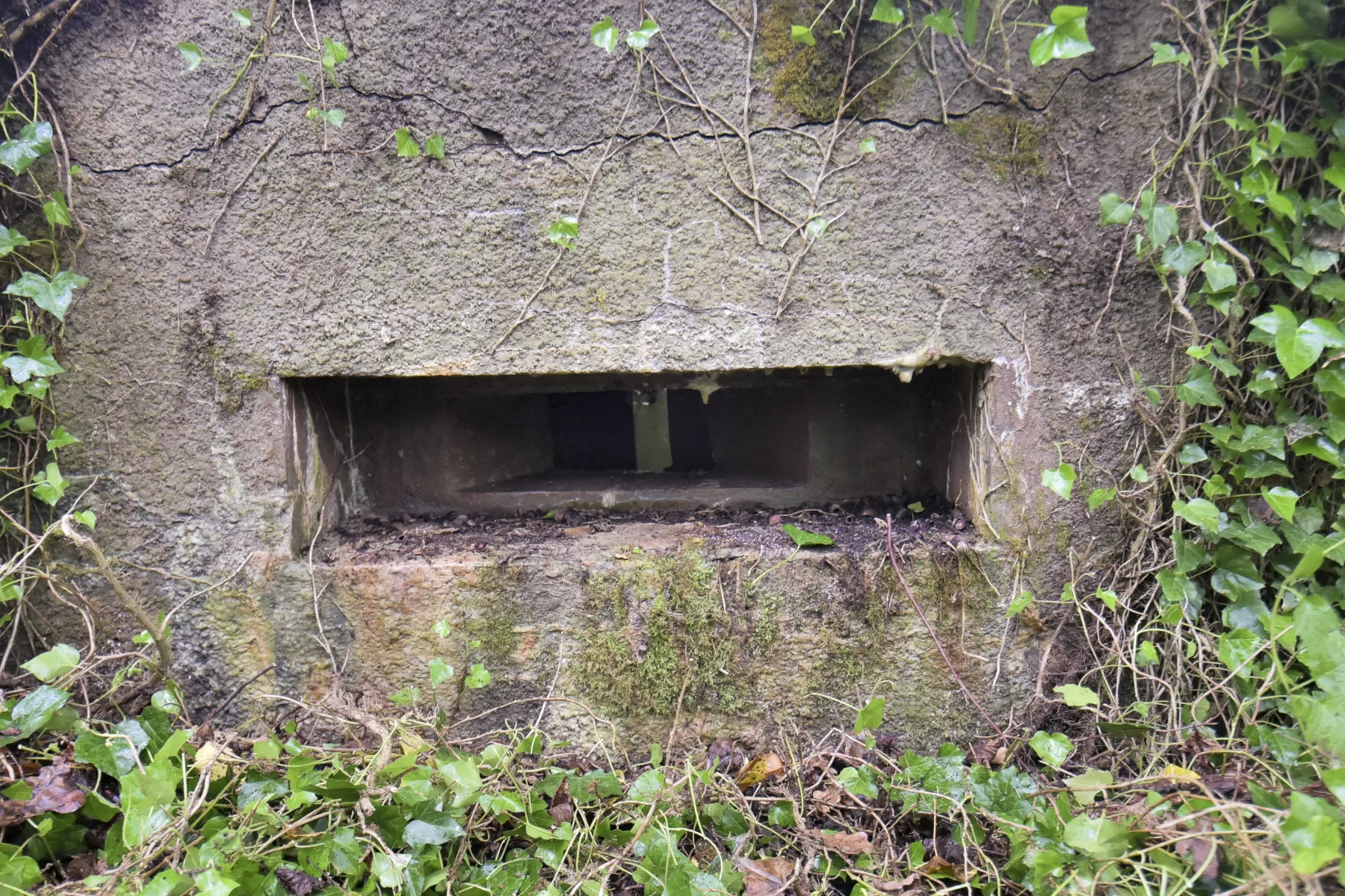 Ligne Maginot - BARRWALD CENTRE - (Blockhaus pour arme infanterie) -  - Ludovic KNAPP