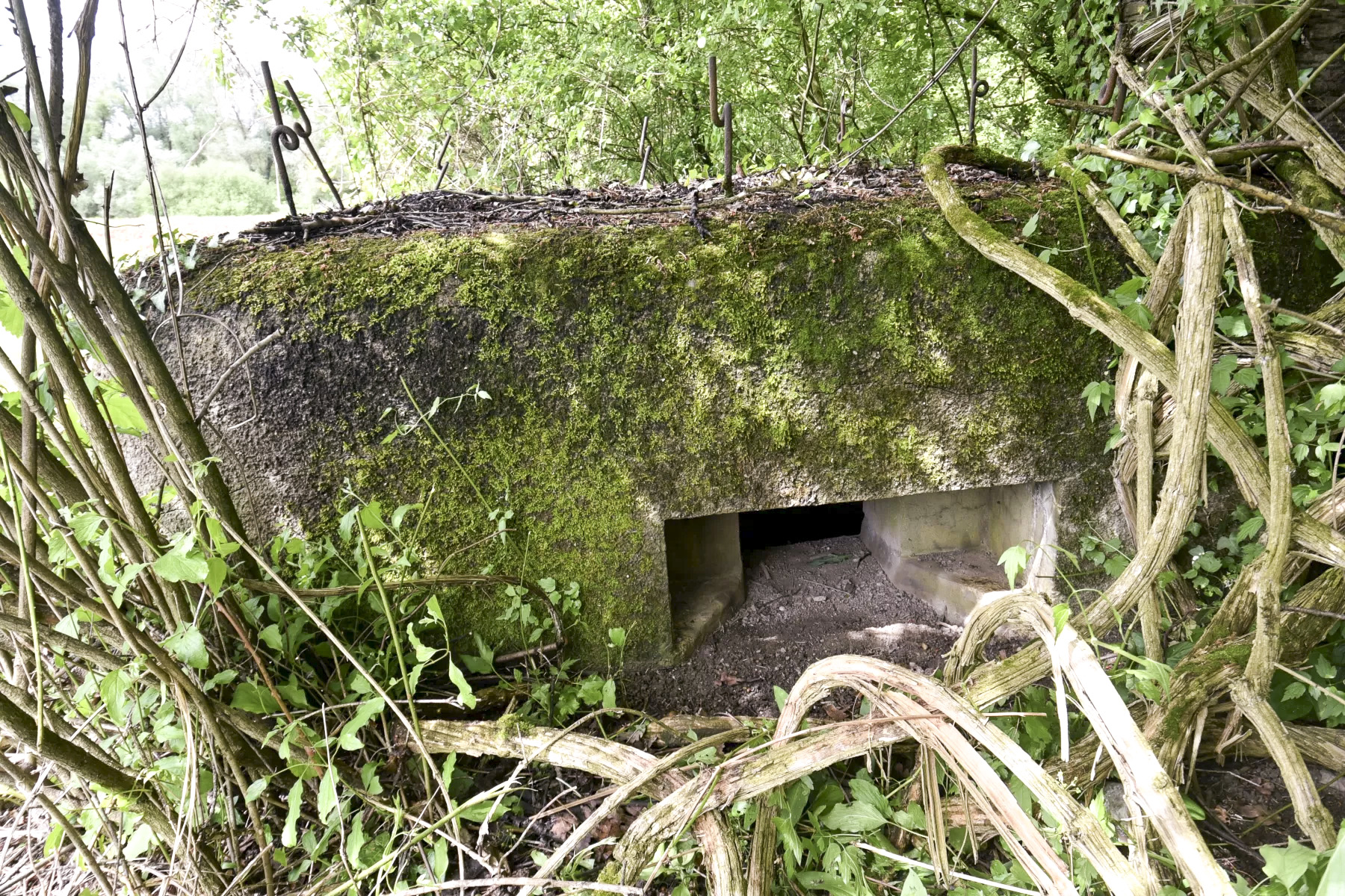 Ligne Maginot - BARRWALD EST - (Blockhaus pour arme infanterie) -  - Ludovic KNAPP