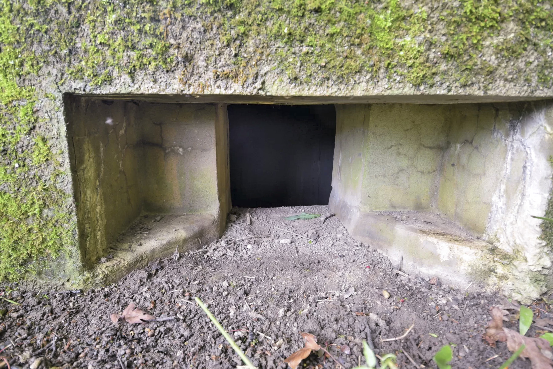 Ligne Maginot - BARRWALD EST - (Blockhaus pour arme infanterie) -  - Ludovic KNAPP