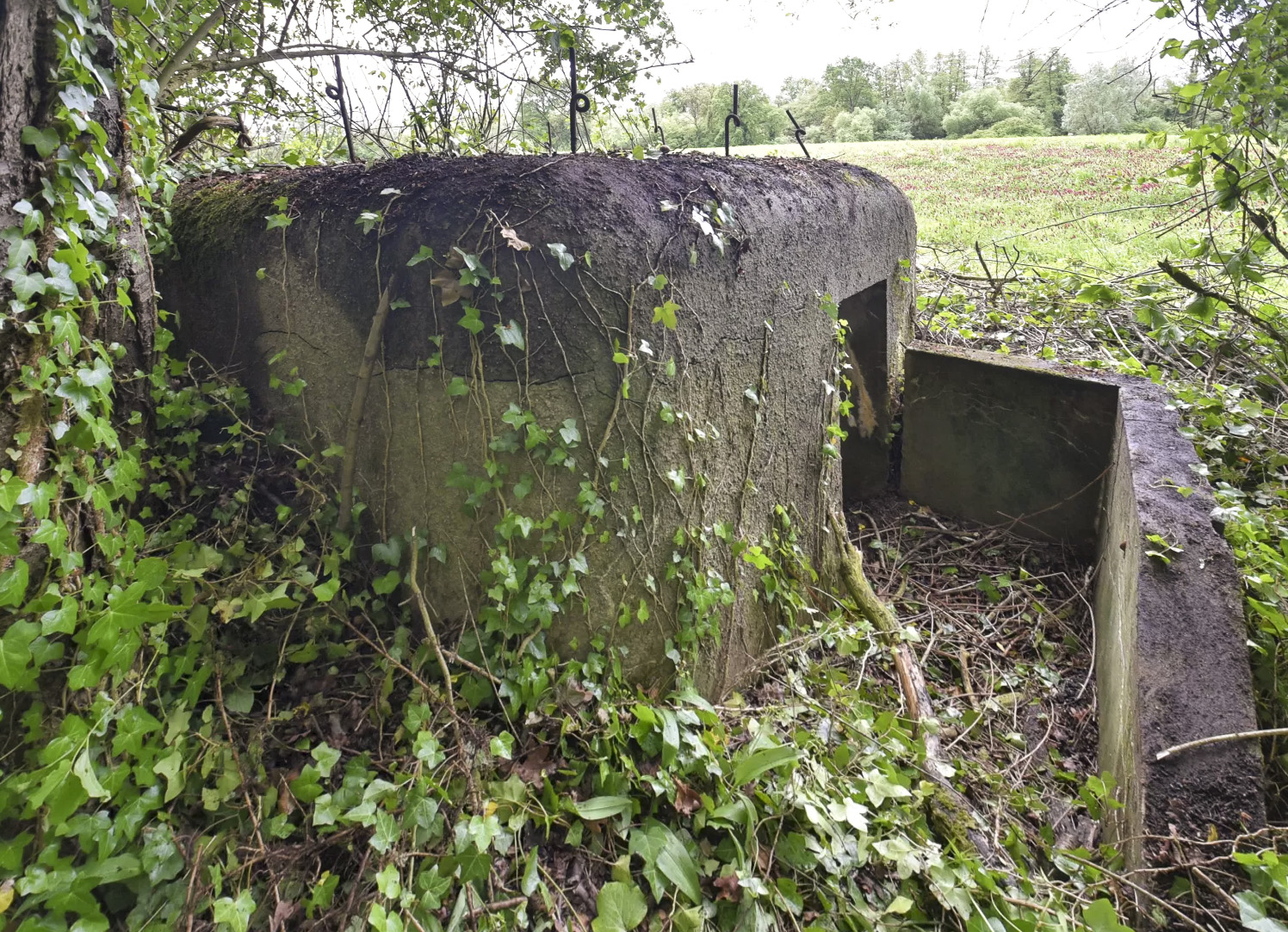 Ligne Maginot - BARRWALD EST - (Blockhaus pour arme infanterie) -  - Ludovic KNAPP