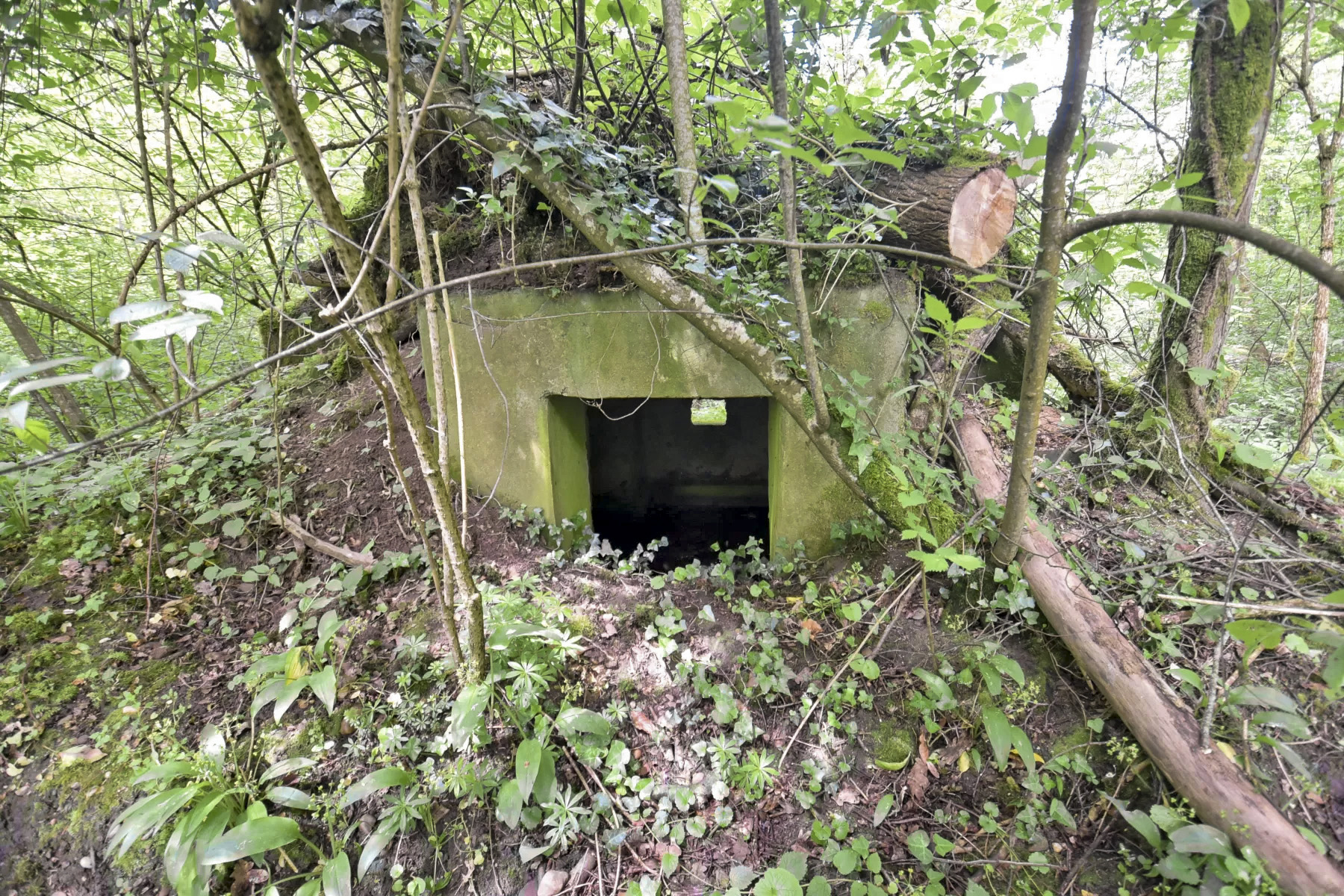 Ligne Maginot - HEIDENBERG 1 - (Blockhaus pour arme infanterie) - L'entrée - Ludovic KNAPP