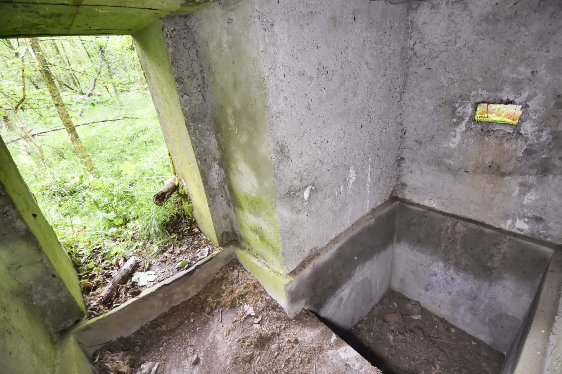 Ligne Maginot - DONAU NORD 2 - (Blockhaus pour arme infanterie) - Entrée et créneau de flanquement gauche - Ludovic KNAPP