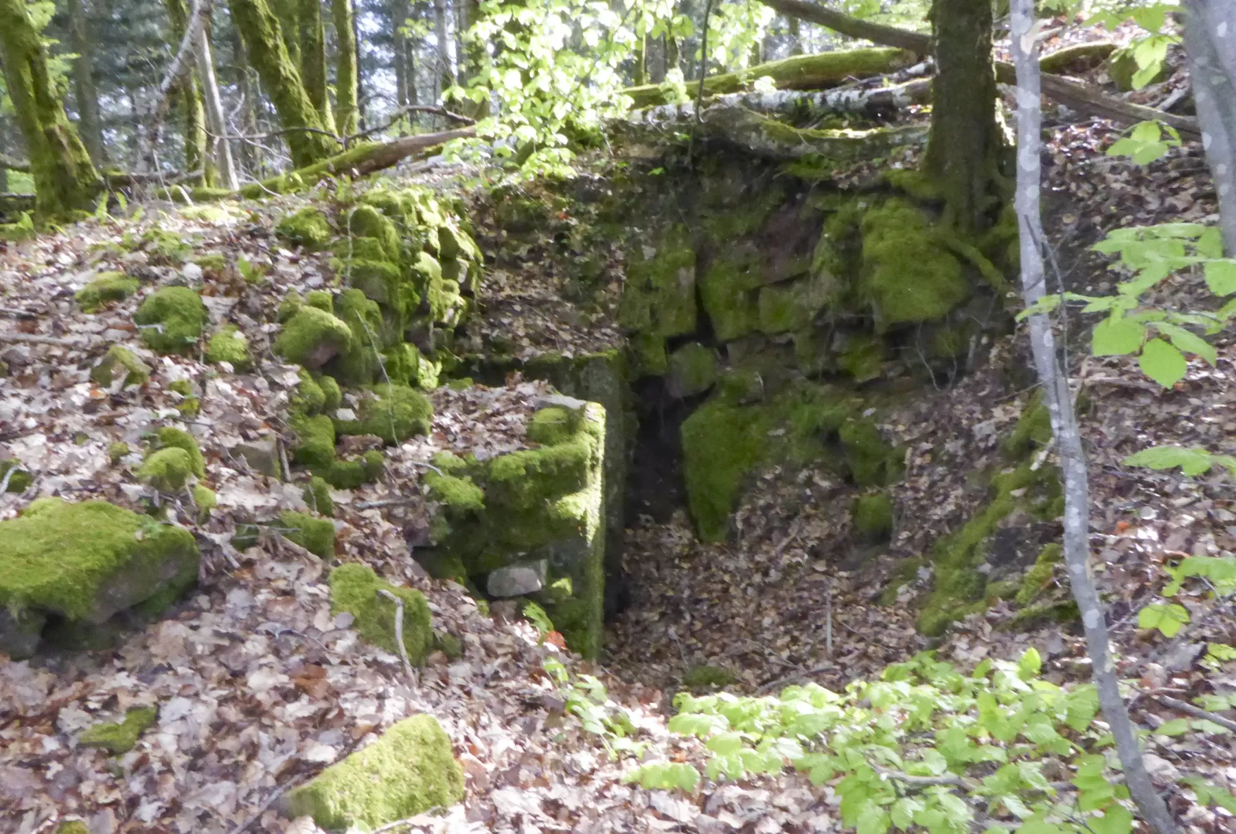 Ligne Maginot - FORT DE ROPPE SUD-EST 2 - (Blockhaus pour arme infanterie) -  - François VILLARS